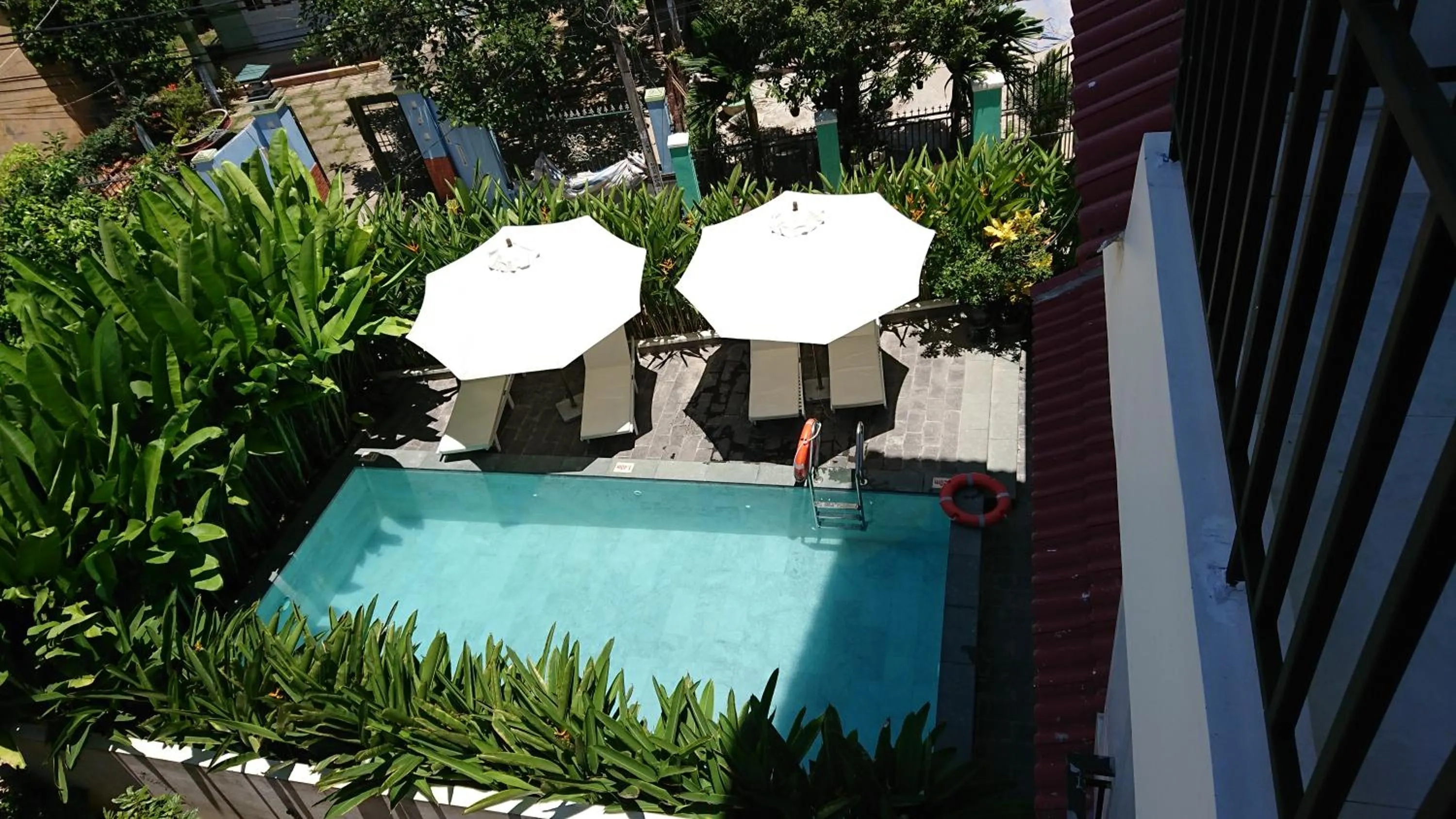 Day in Flamingo Villa Homestay - Big Rooms with Balcony - Close to Hoi An Old Town 200m & Temple Bridge - Large Outside Pool for Sun Bathing