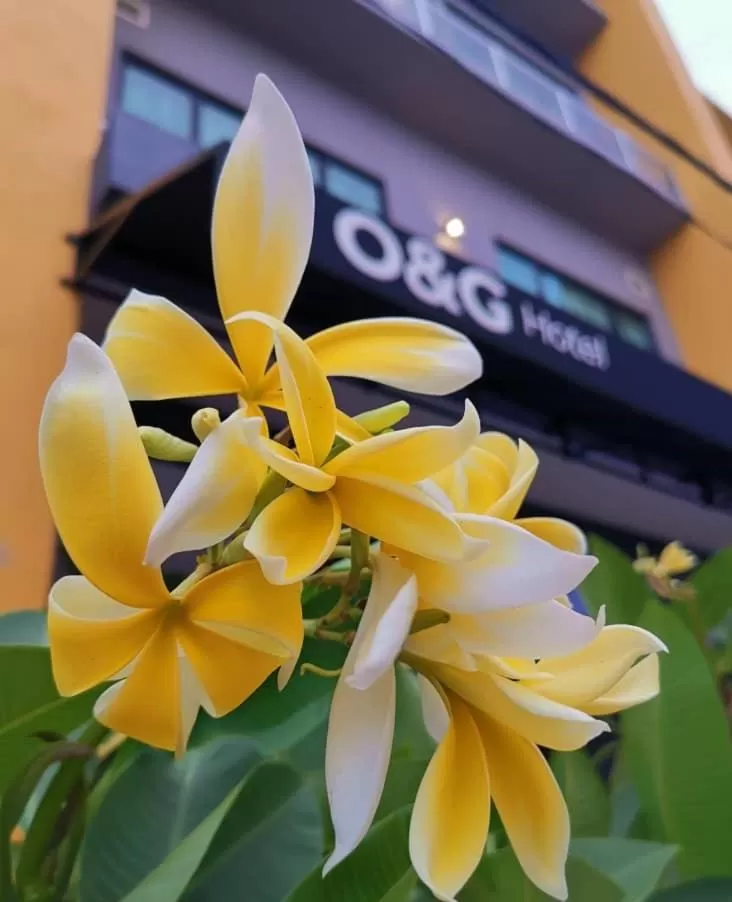 O&G Hotel Parit Buntar