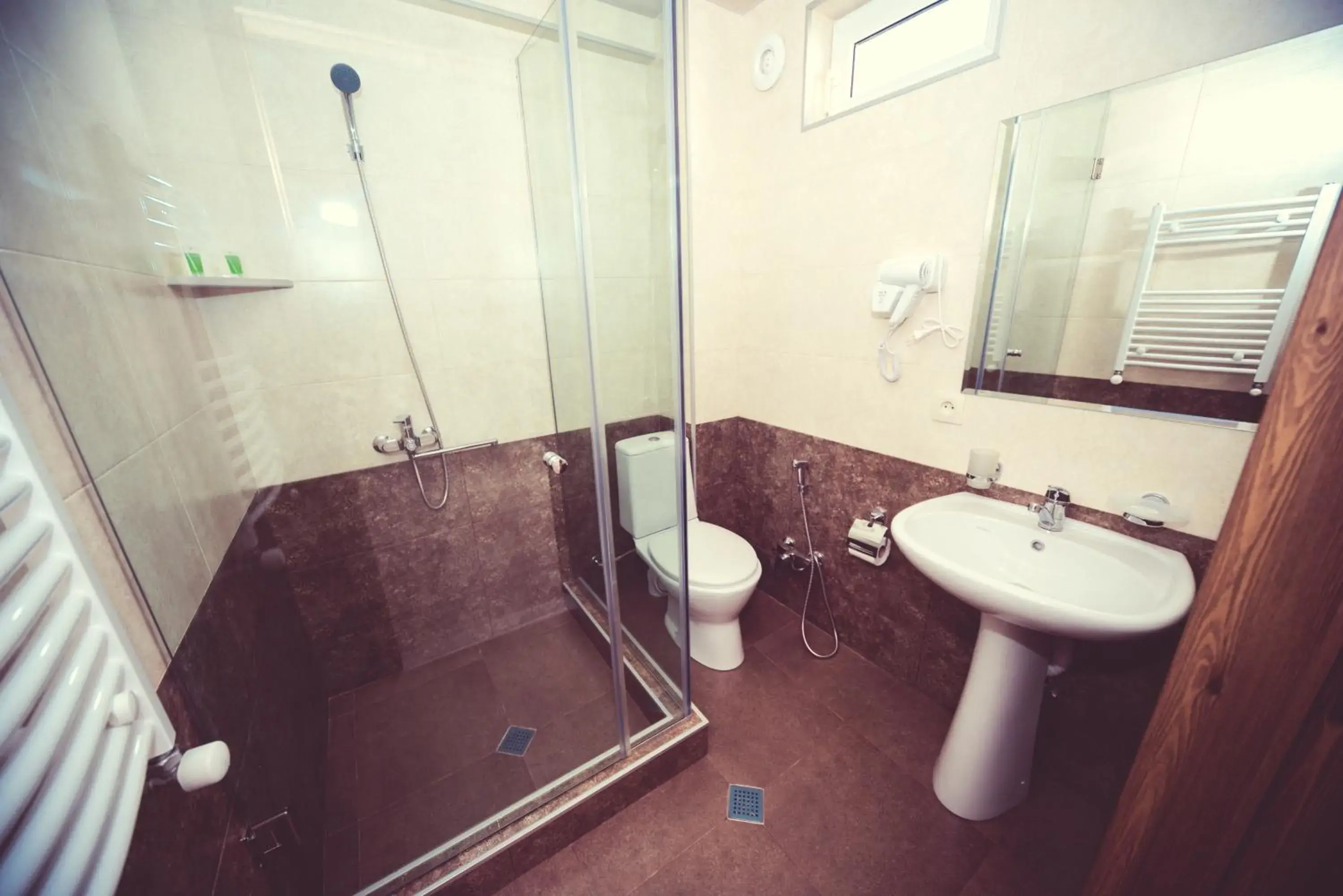 Shower, Bathroom in Hotel New Metekhi