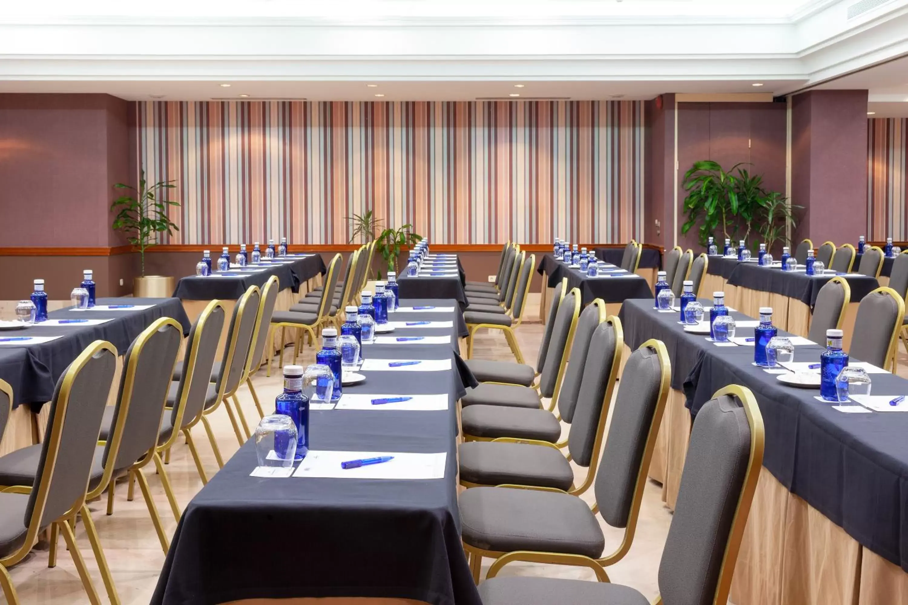 Meeting/conference room, Restaurant/Places to Eat in Hotel Hoyuela