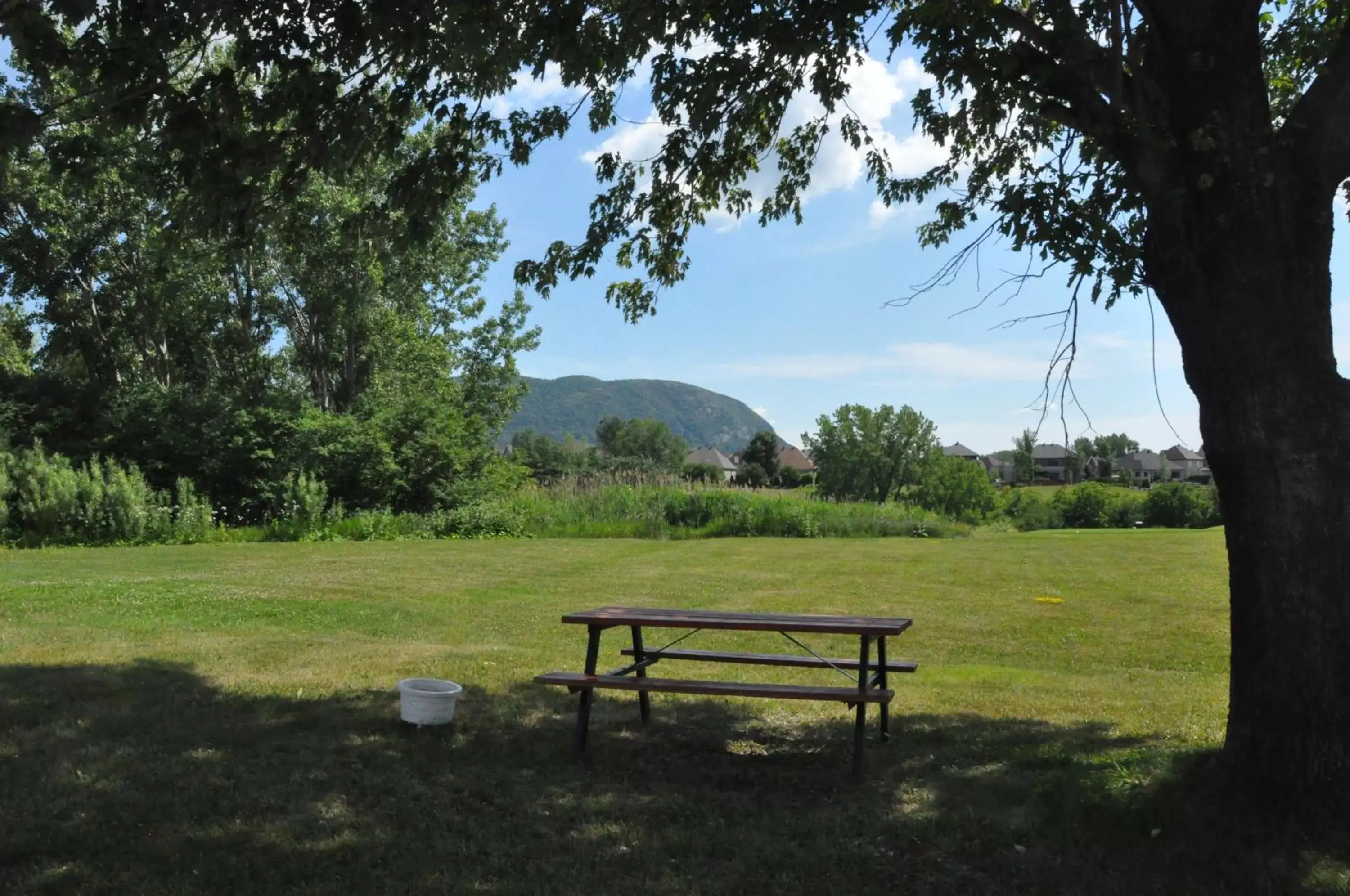 Mountain view, Garden in Hotel Transit