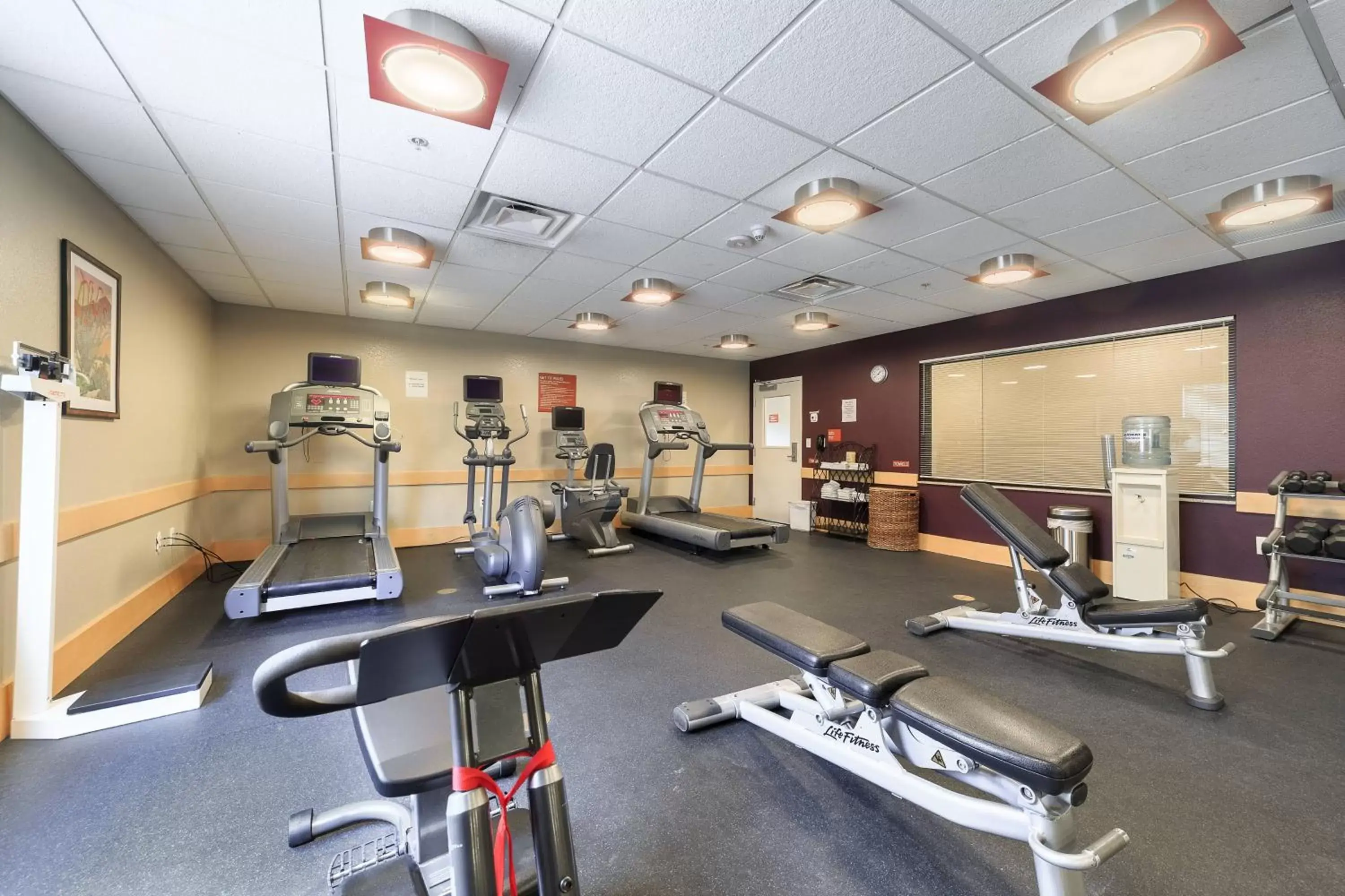 Fitness centre/facilities, Fitness Center/Facilities in TownePlace Suites Farmington