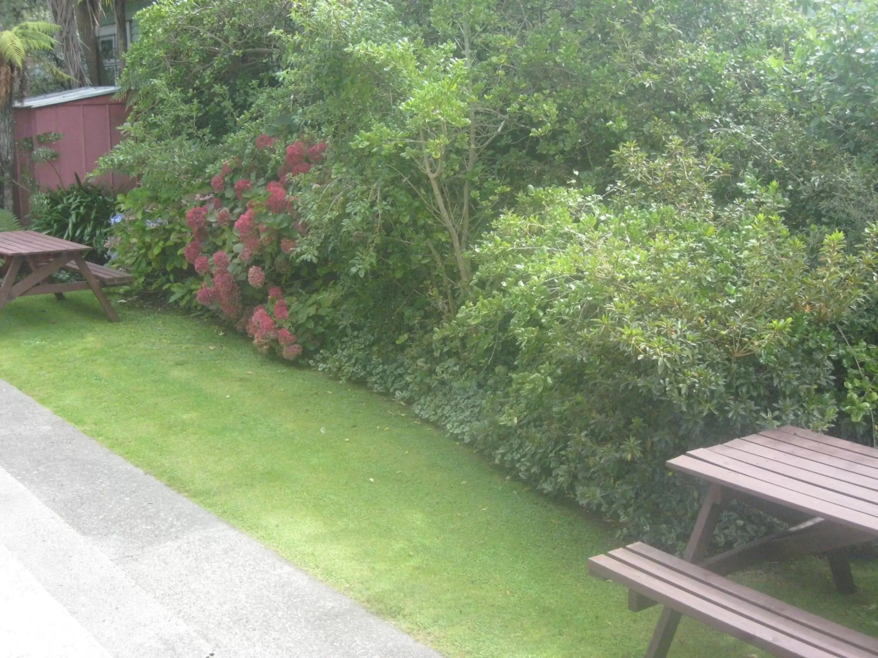 Patio, Garden in Buller Court on Palmerston