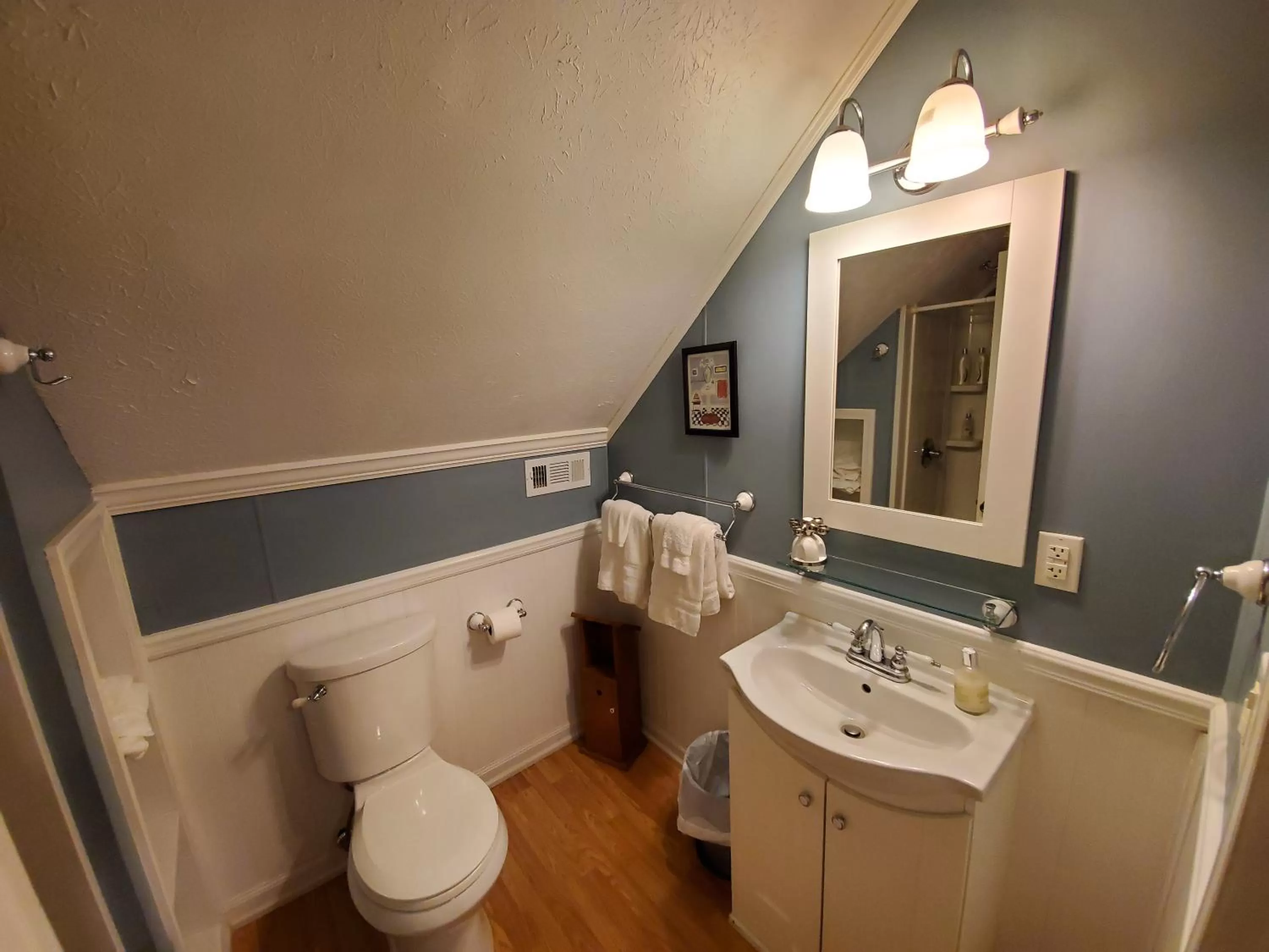 Blue Ridge Manor Bed and Breakfast