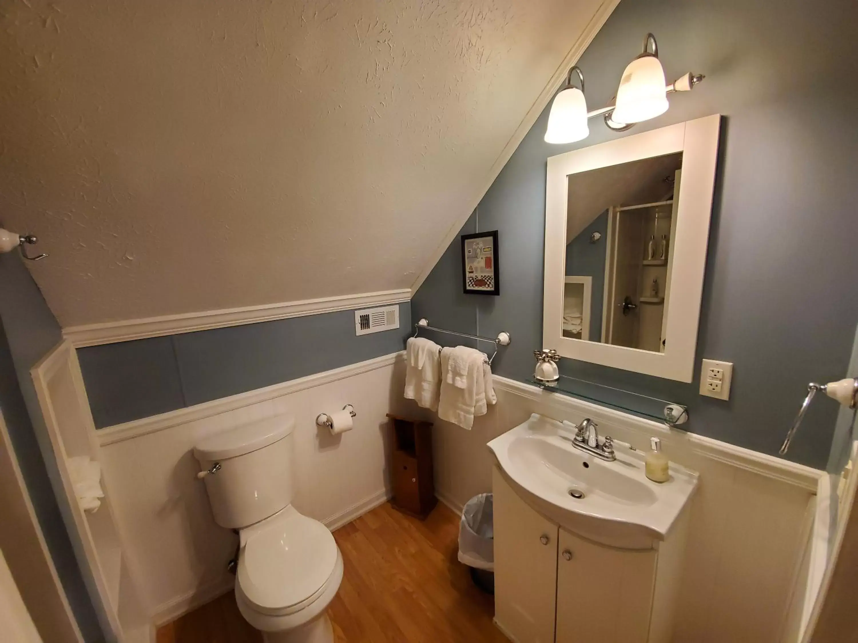 Bathroom in Blue Ridge Manor Bed and Breakfast