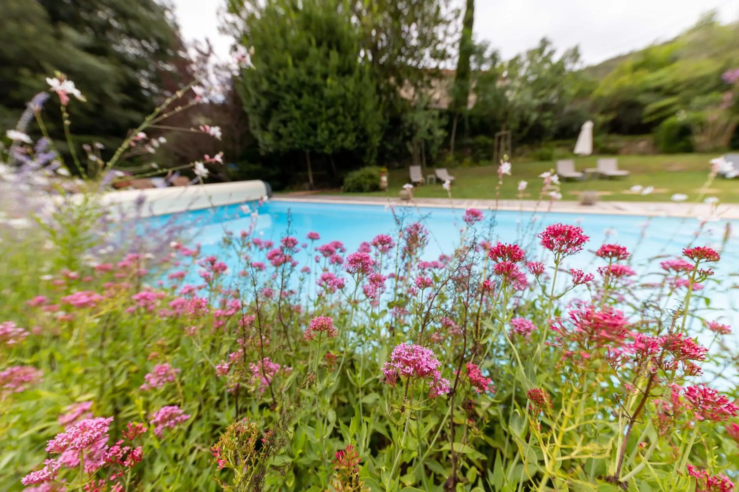 Swimming Pool in Hotel Le Mas Trilles