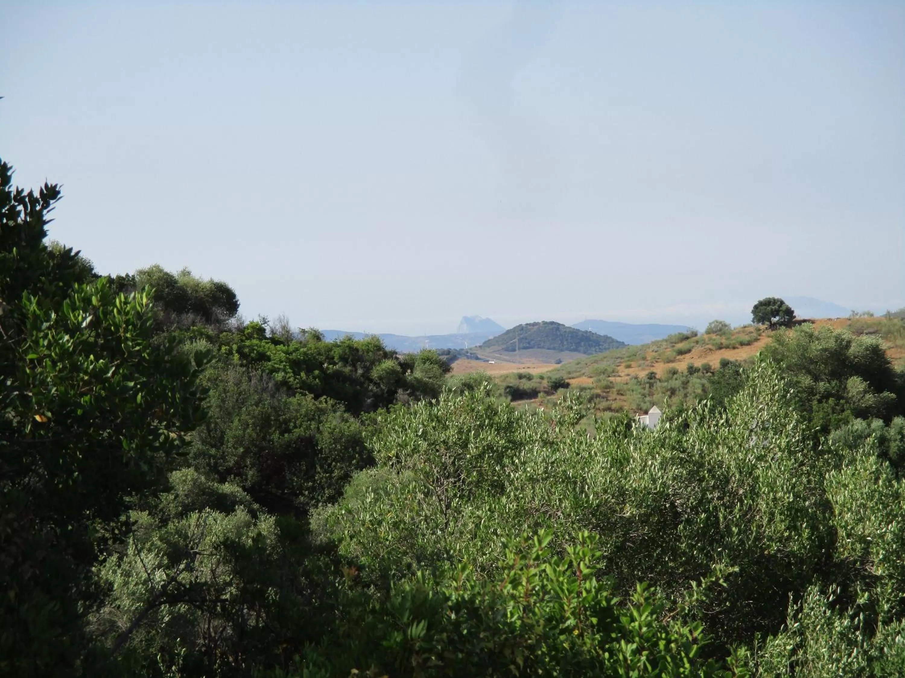 View (from property/room) in Casa Laibon