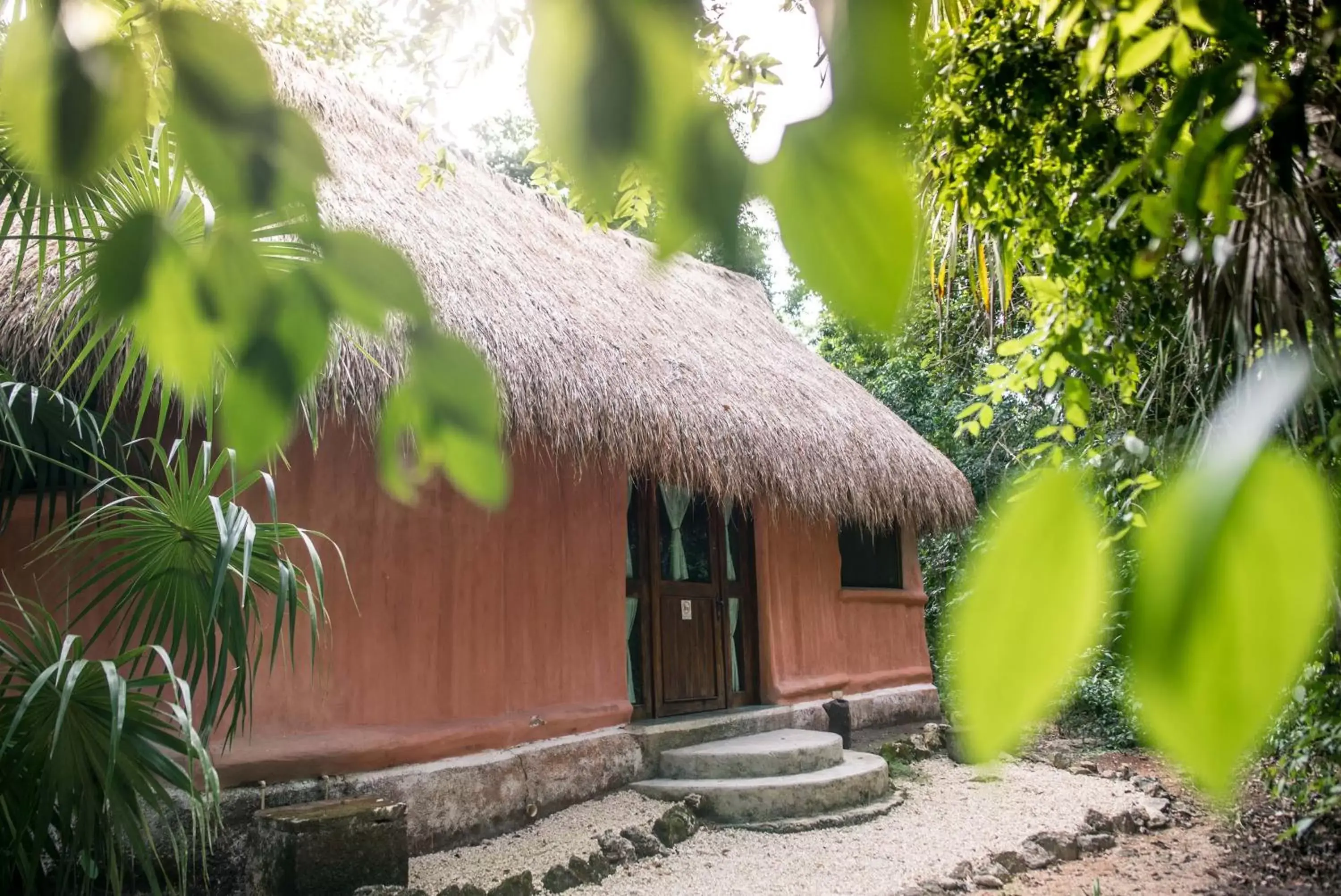 Garden in Jolie Jungle Eco Hotel