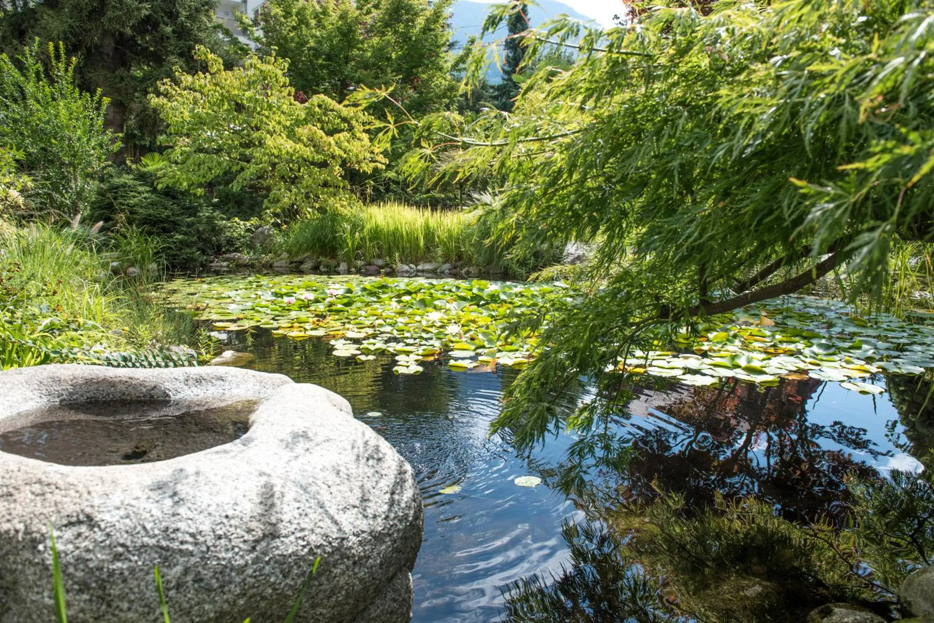 Garden in Hotel Sonnenhof