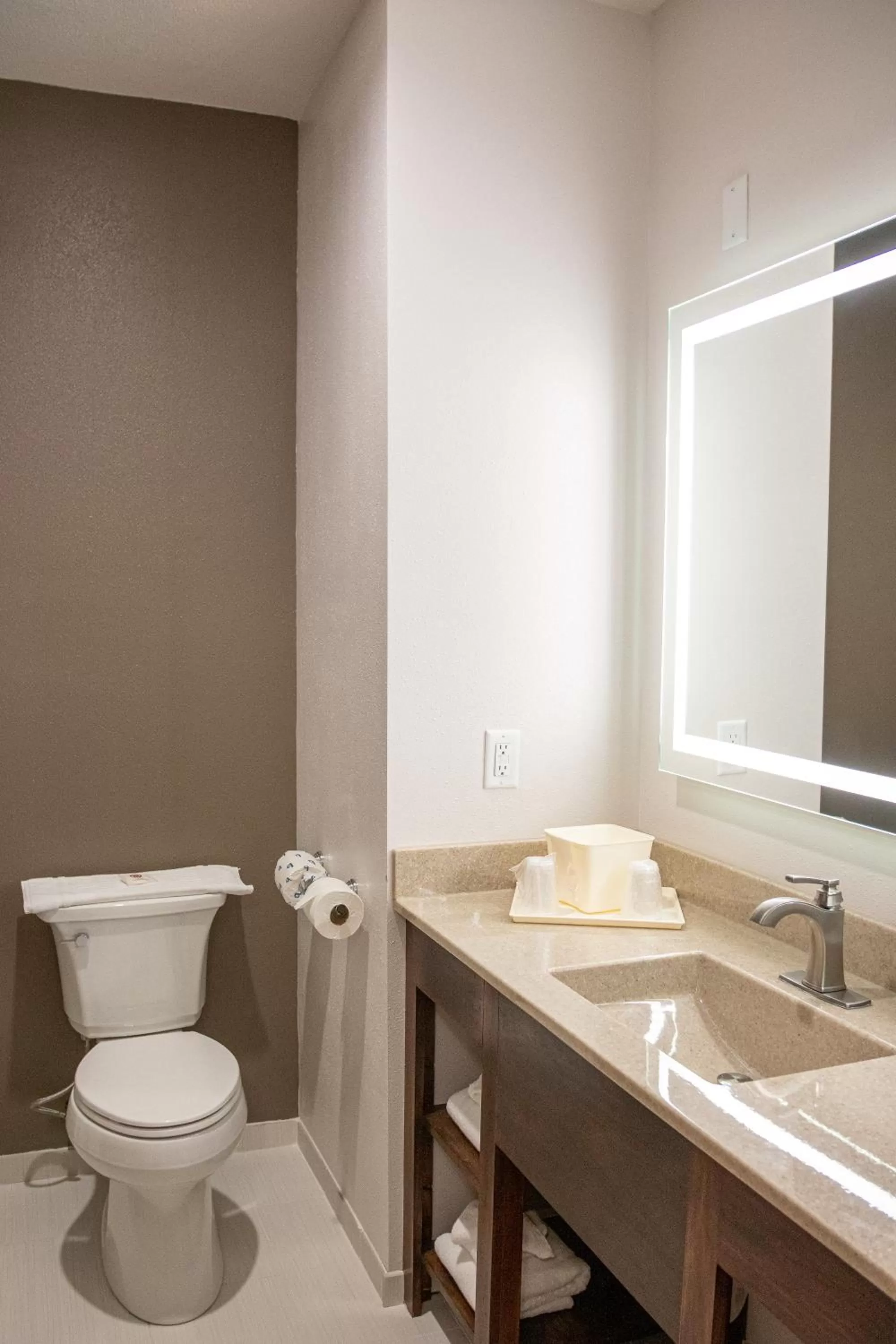 Toilet in Comfort Inn Sioux City South