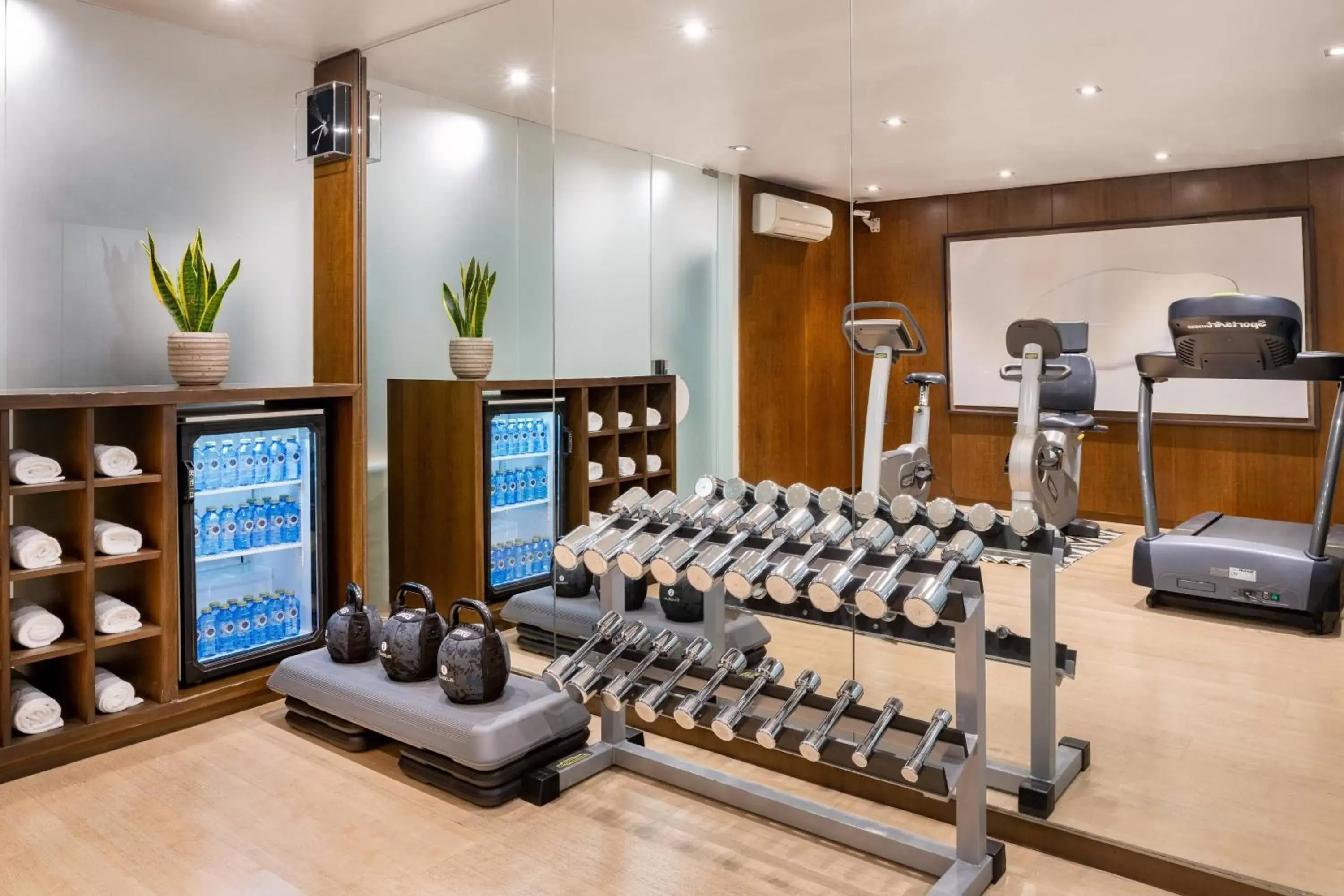 Fitness centre/facilities, Fitness Center/Facilities in AC Hotel Palacio Universal by Marriott