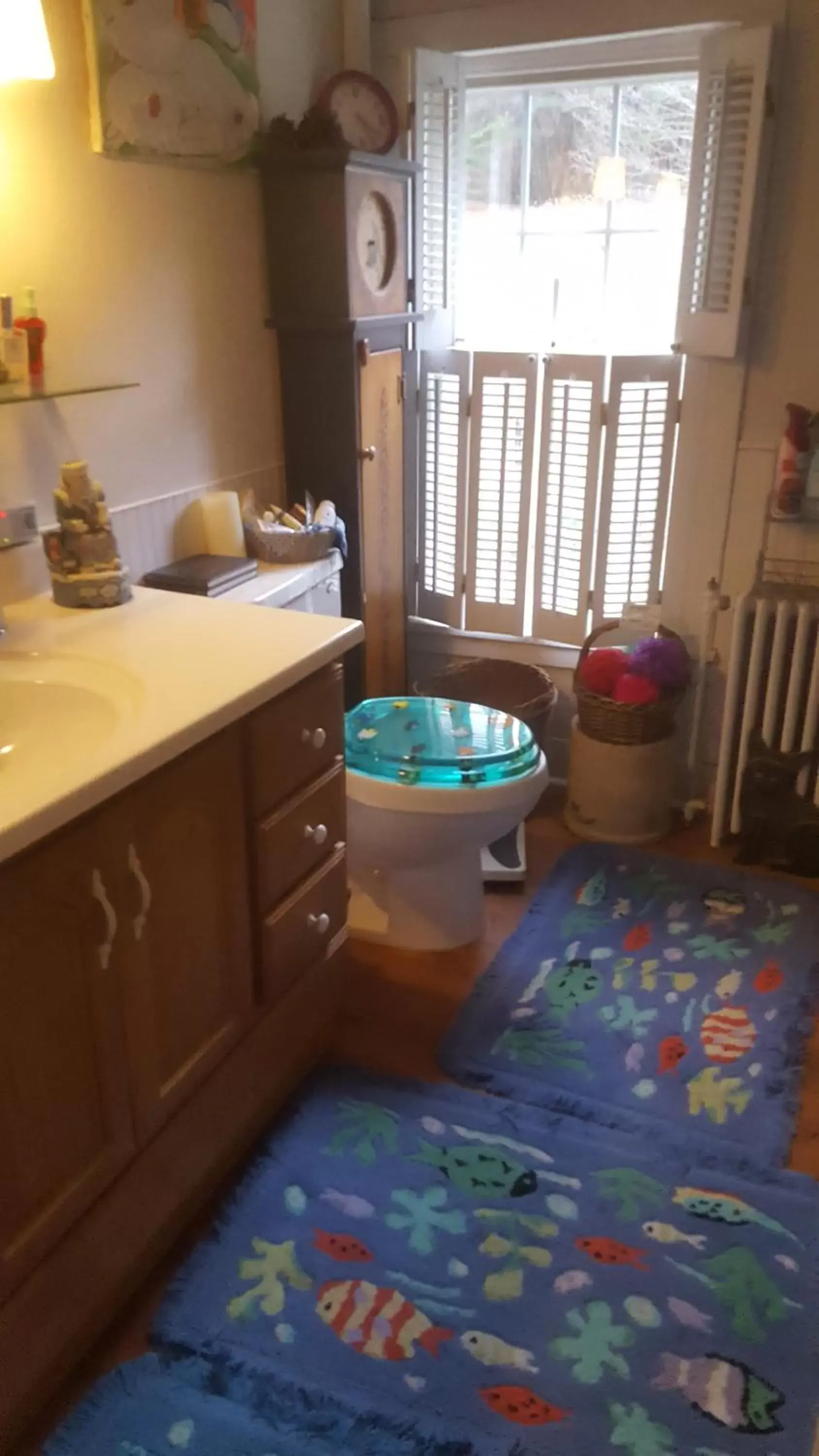 Bathroom in A Meadow House