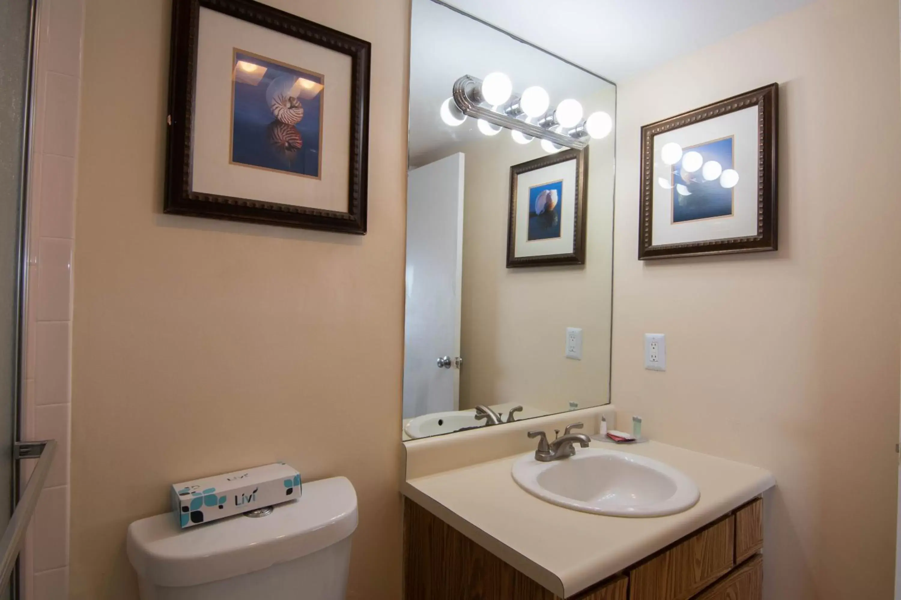 Bathroom in Palm Beach Waterfront Condos - Full Kitchens!