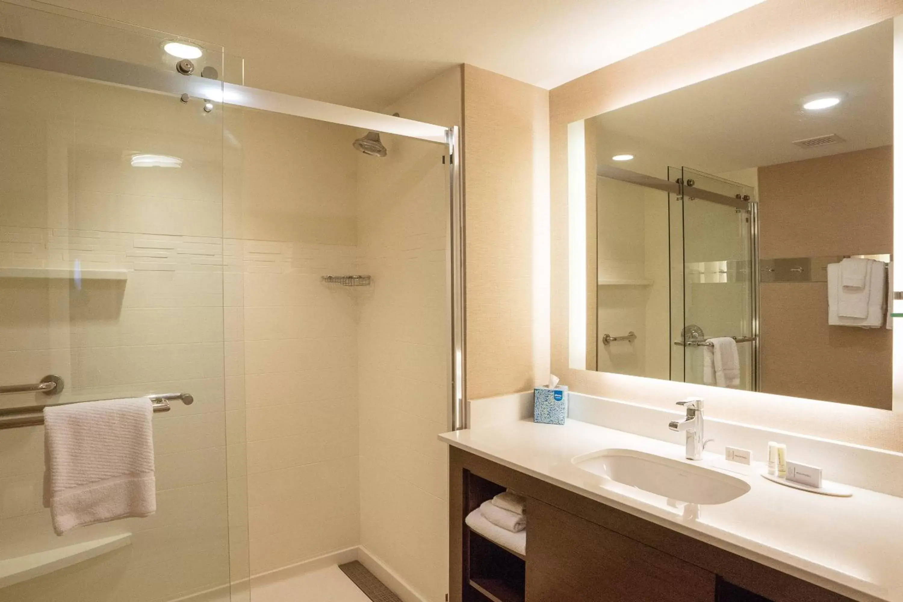 Bathroom in Residence Inn by Marriott Seattle University District