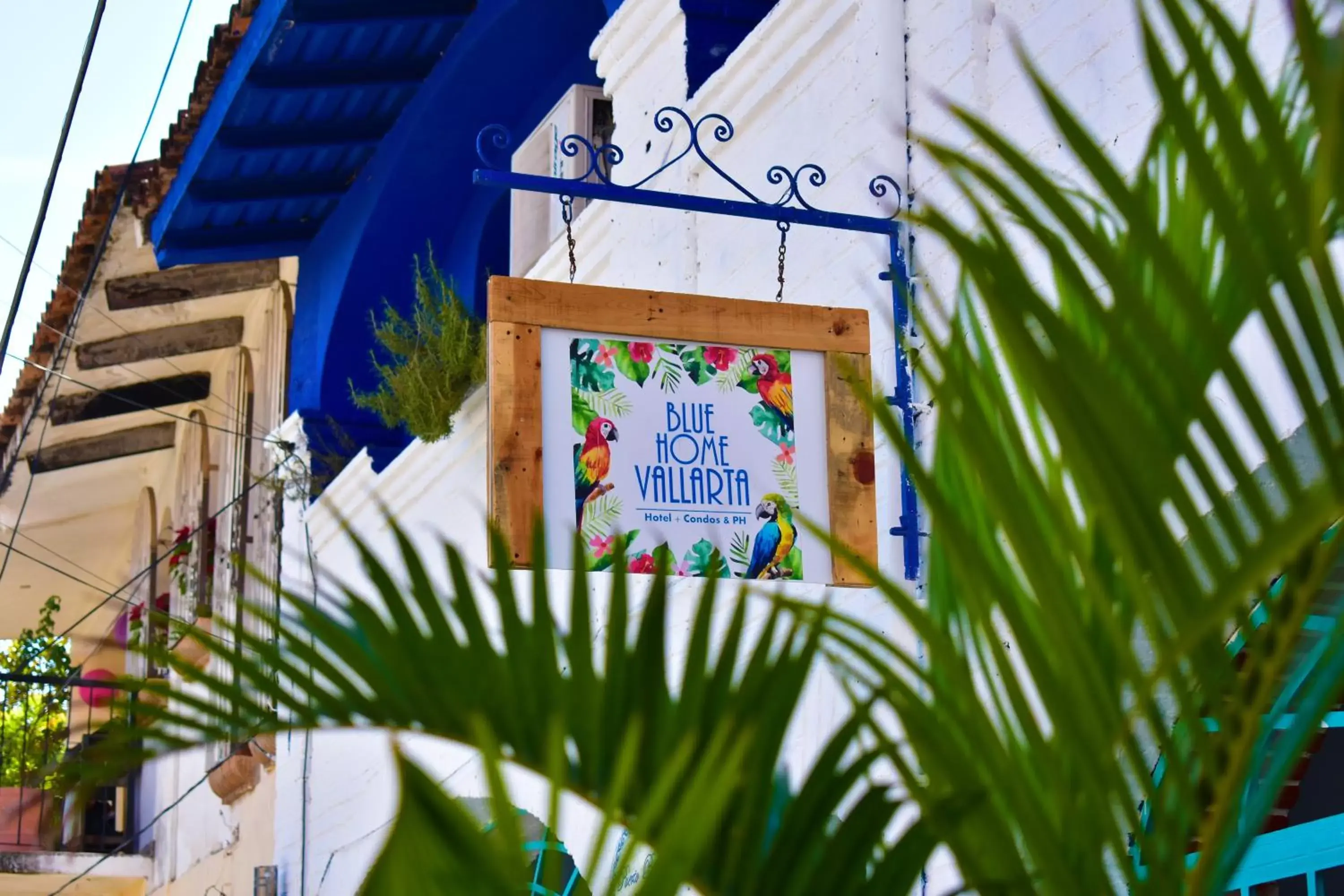 Logo/Certificate/Sign in Hotel Blue Home Vallarta