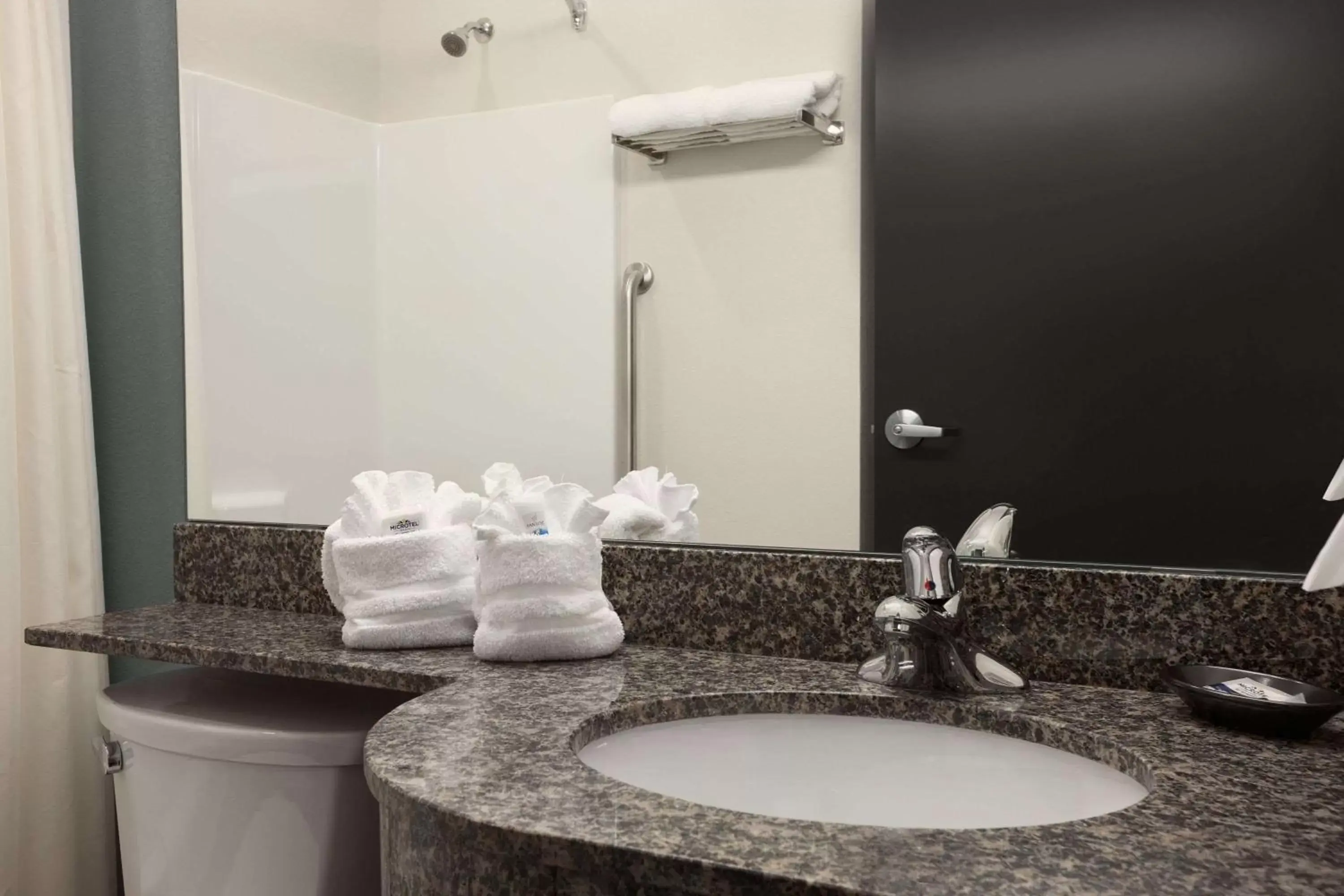 Bathroom in Microtel Inn & Suites by Wyndham Wilkes Barre