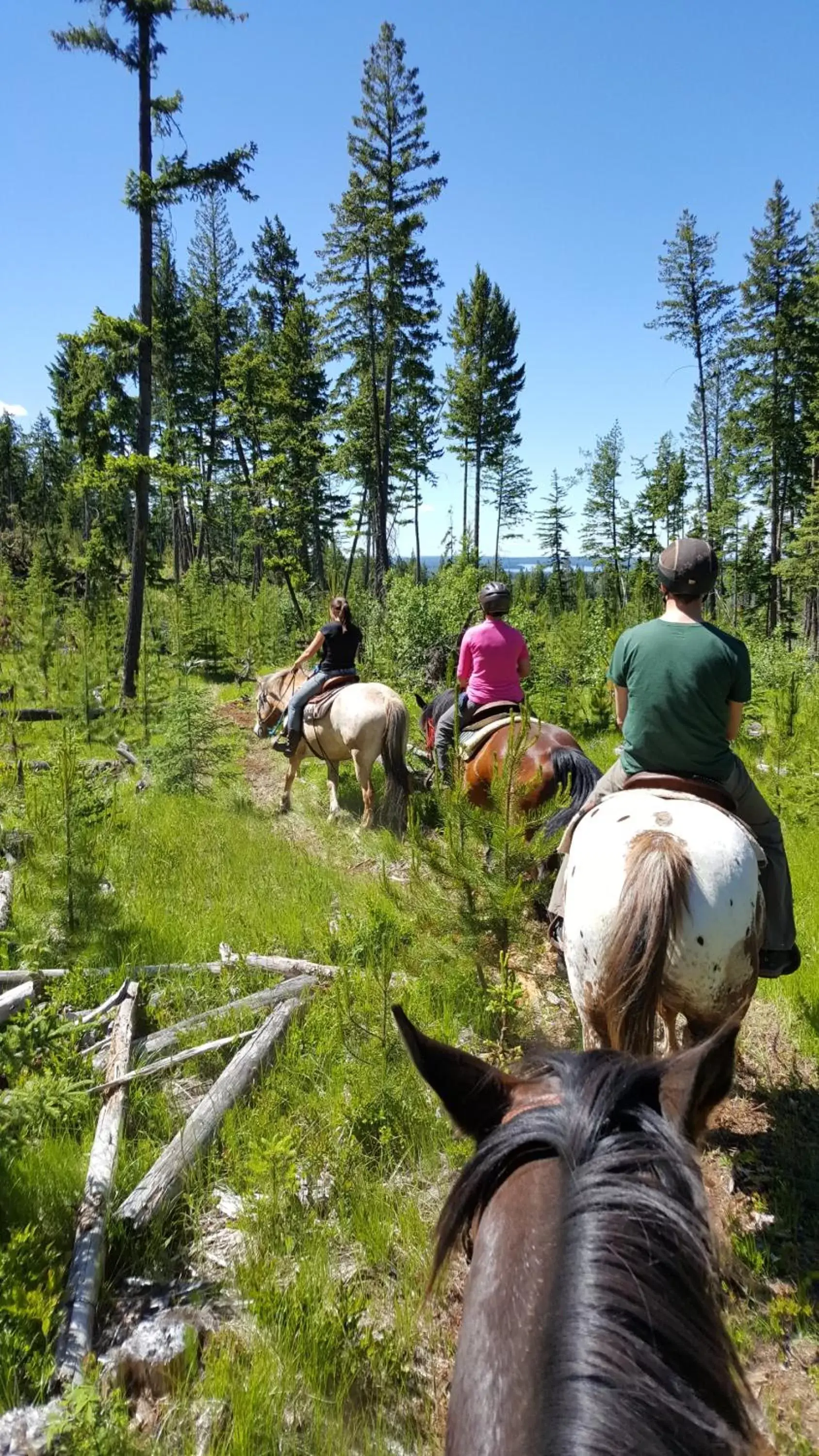 Activities, Horseback Riding in Wettstone Guest Ranch