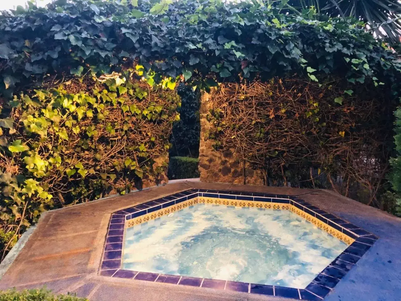 Hot Tub, Swimming Pool in Posada Los Alcatraces
