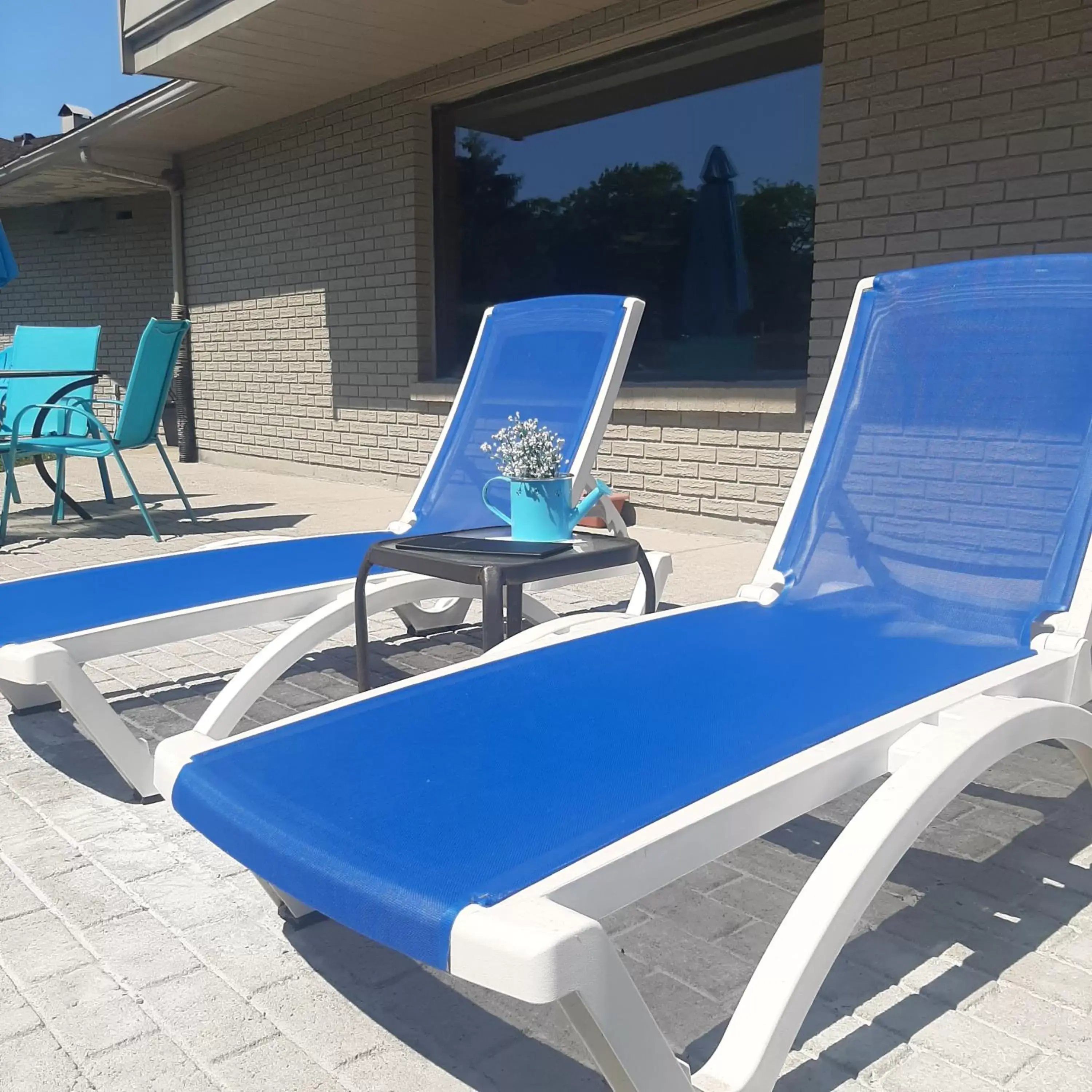 Lounge or bar, Swimming Pool in THE ASHWOOD INN