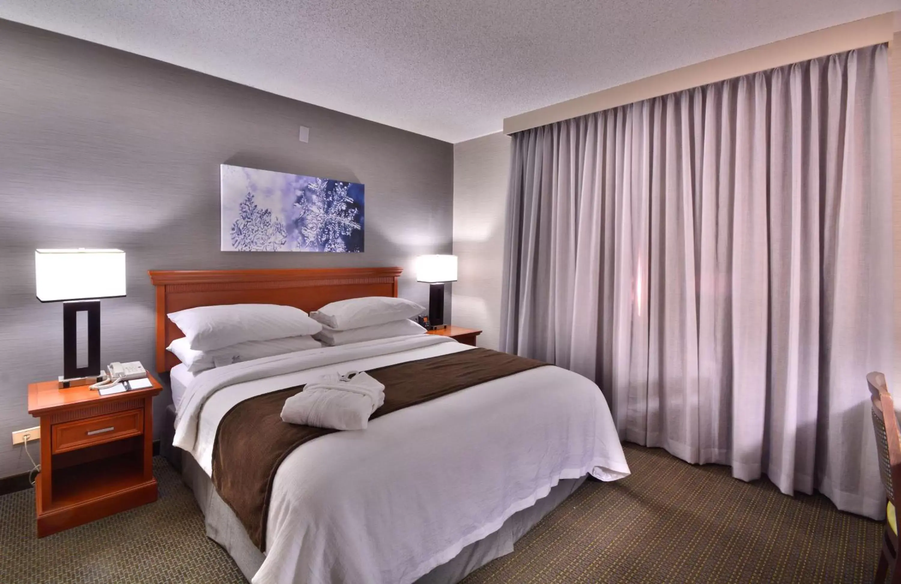 Bed in Embassy Suites by Hilton Denver Central Park