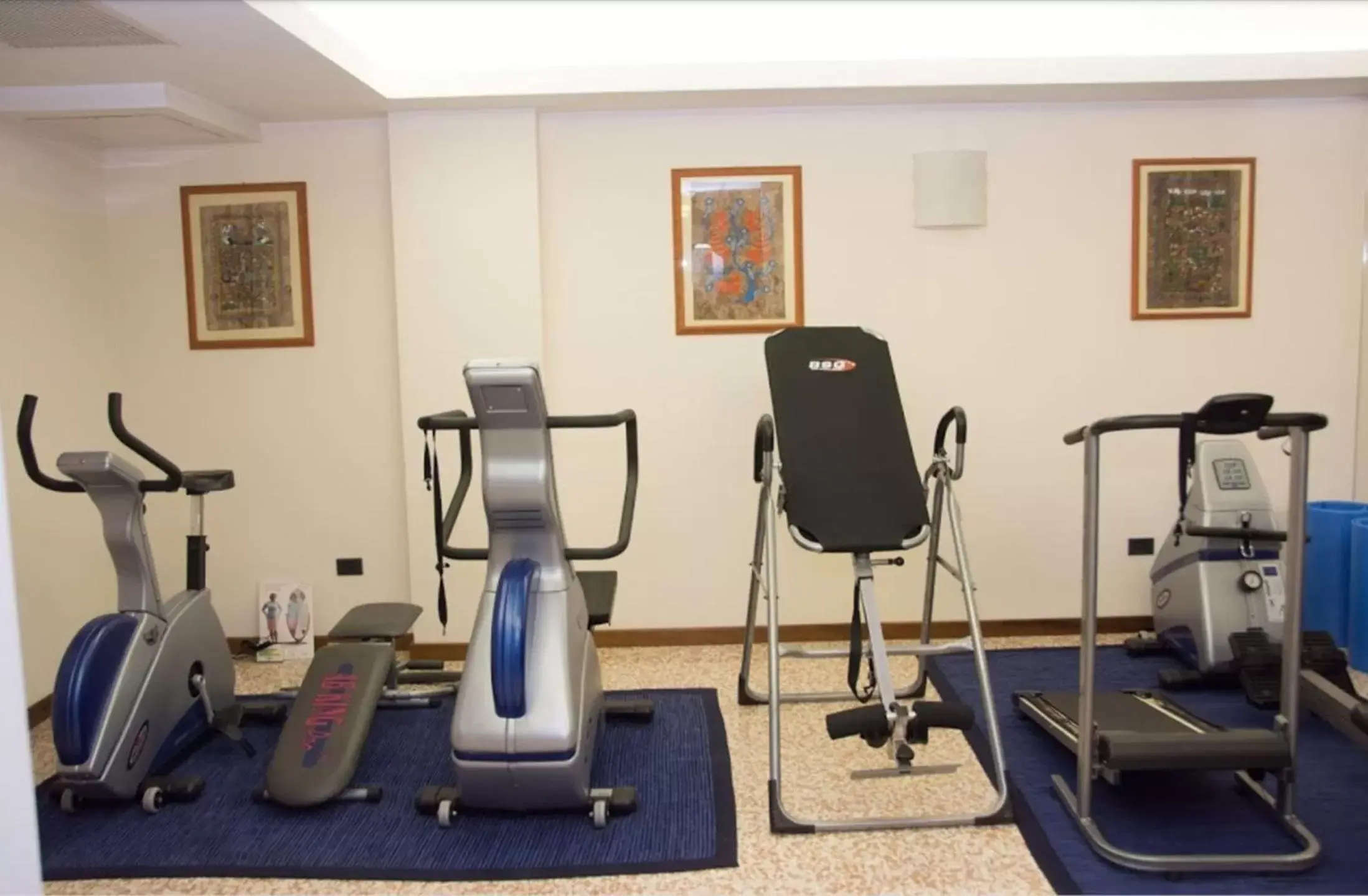 Fitness centre/facilities, Fitness Center/Facilities in Hotel Piroga Padova