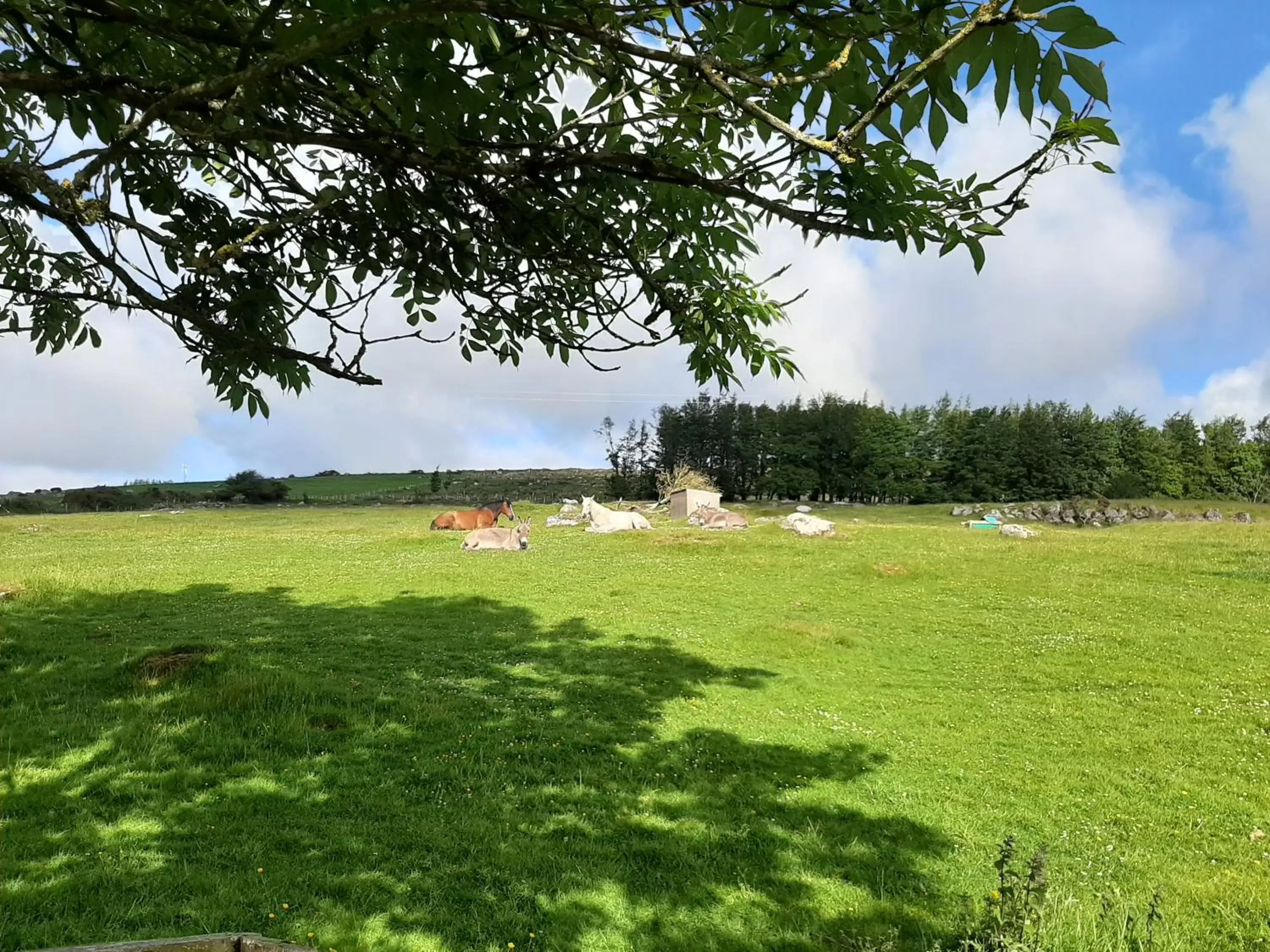 Property building, Garden in Abhainn Ri Farmhouse