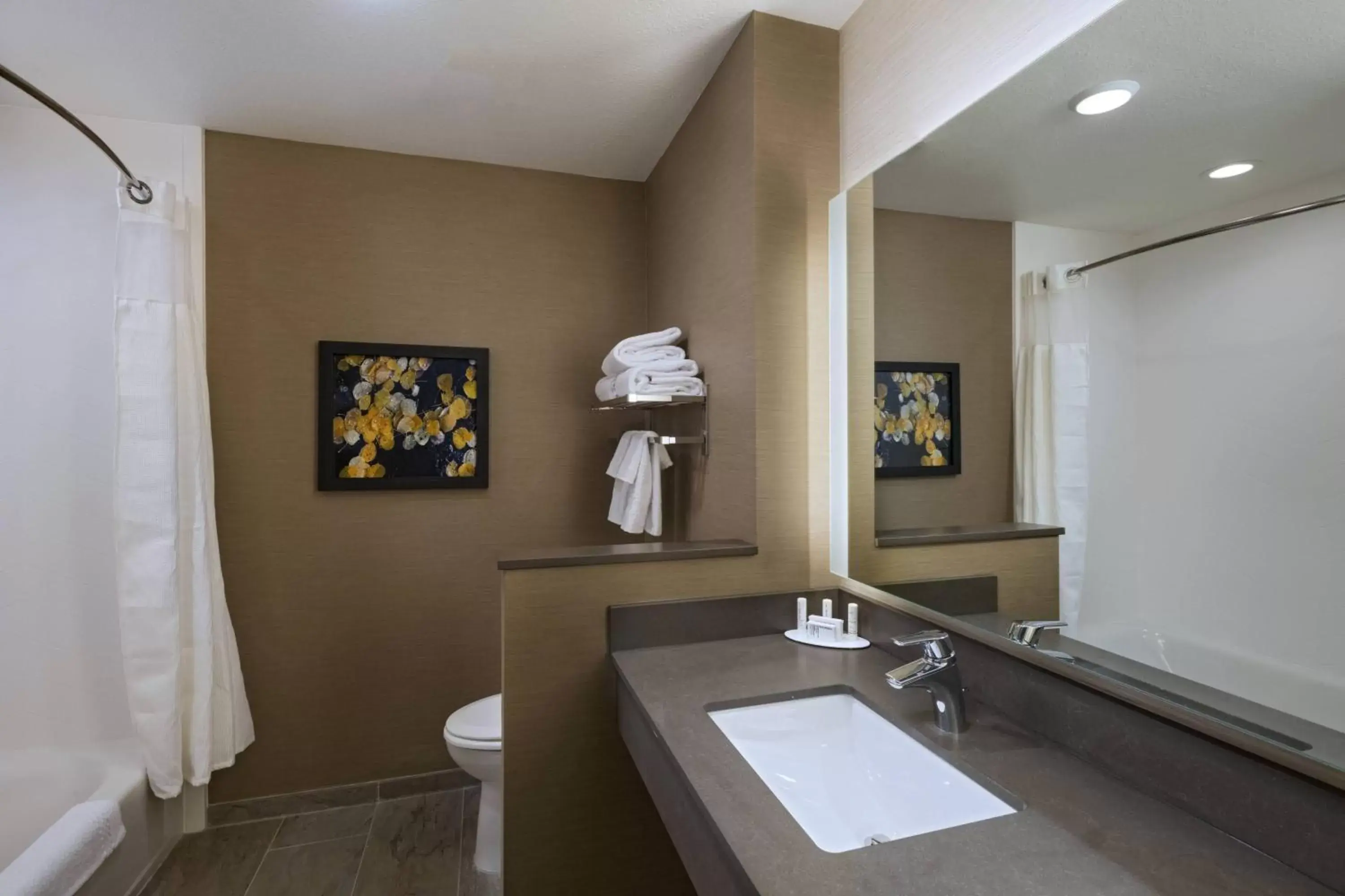Bathroom in Fairfield Inn & Suites by Marriott Colorado Springs East