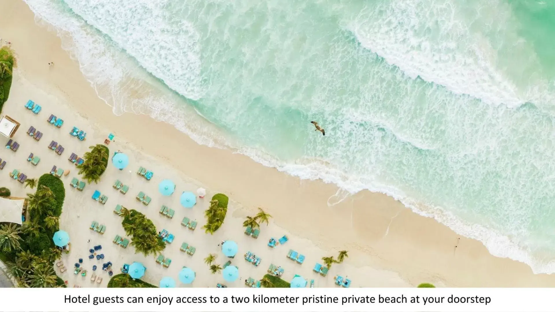 Beach in Jumeirah Al Naseem Dubai Beach in Jumeirah Al Naseem Dubai