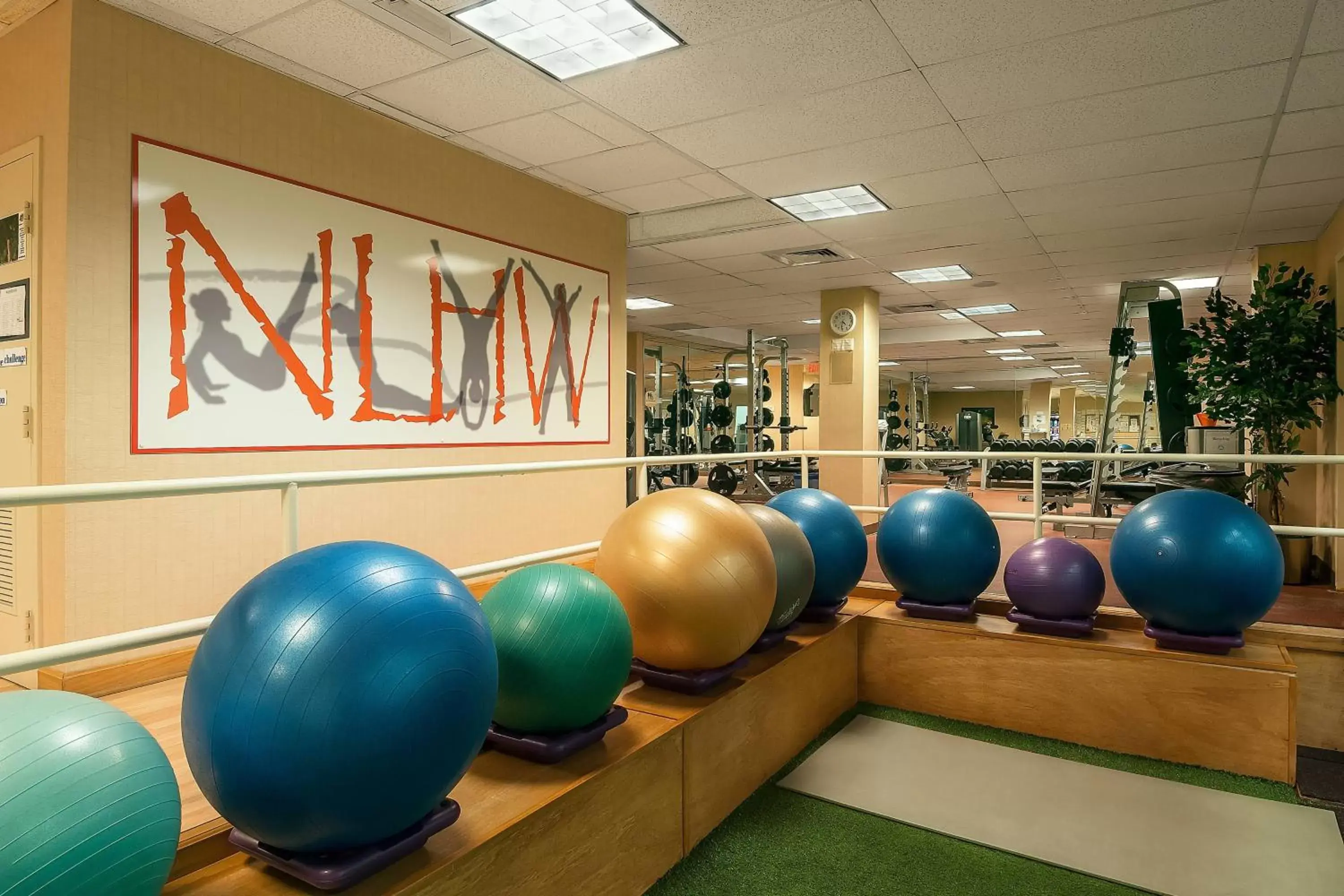 Fitness centre/facilities, Fitness Center/Facilities in Courtyard Boston Marlborough