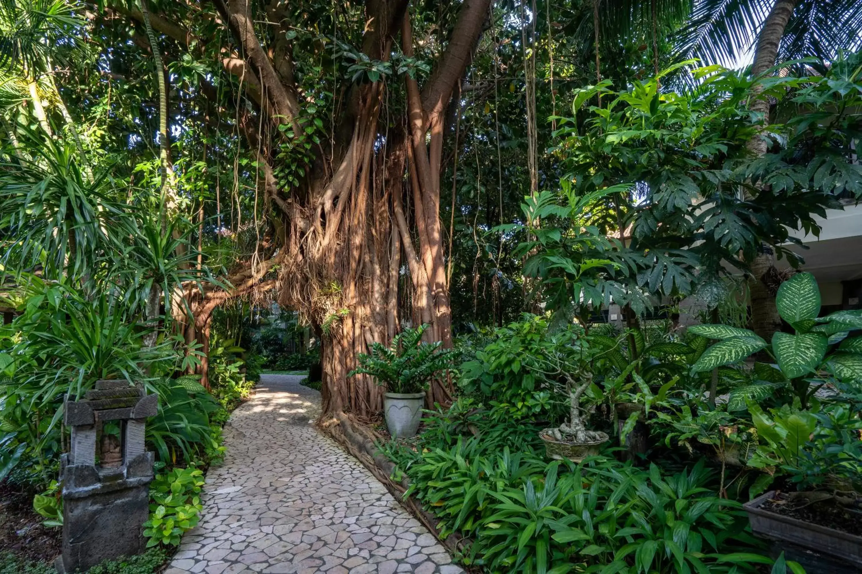 Natural landscape in Hotel Kumala Pantai - CHSE Certified