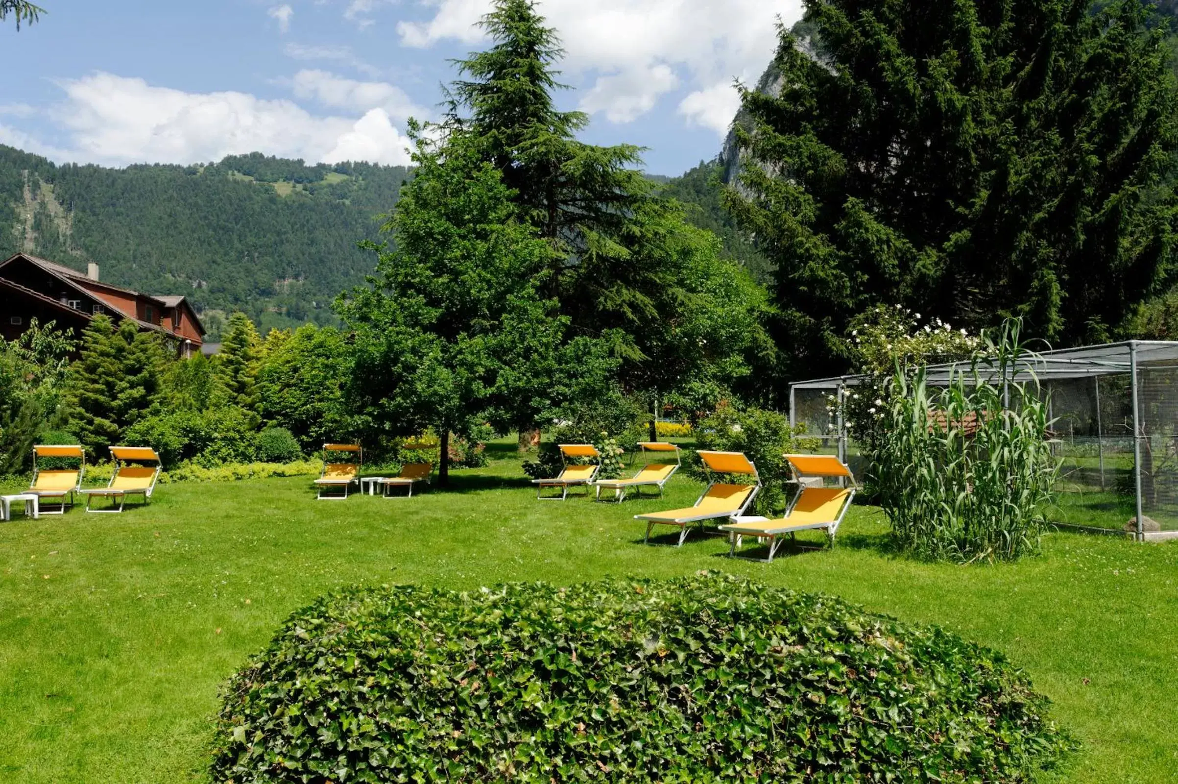 Garden in Hotel Beausite