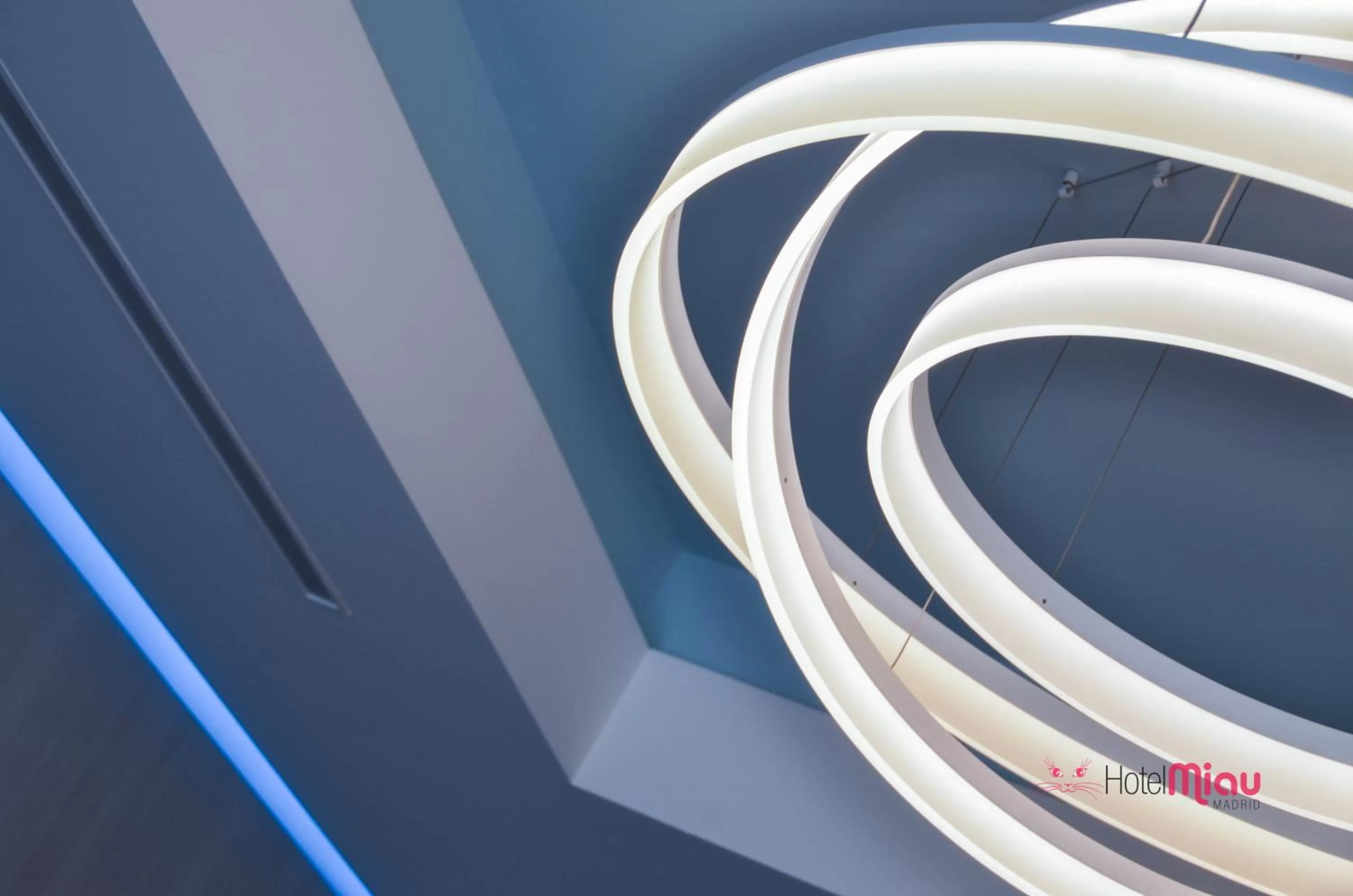 Lobby or reception in Hotel Miau