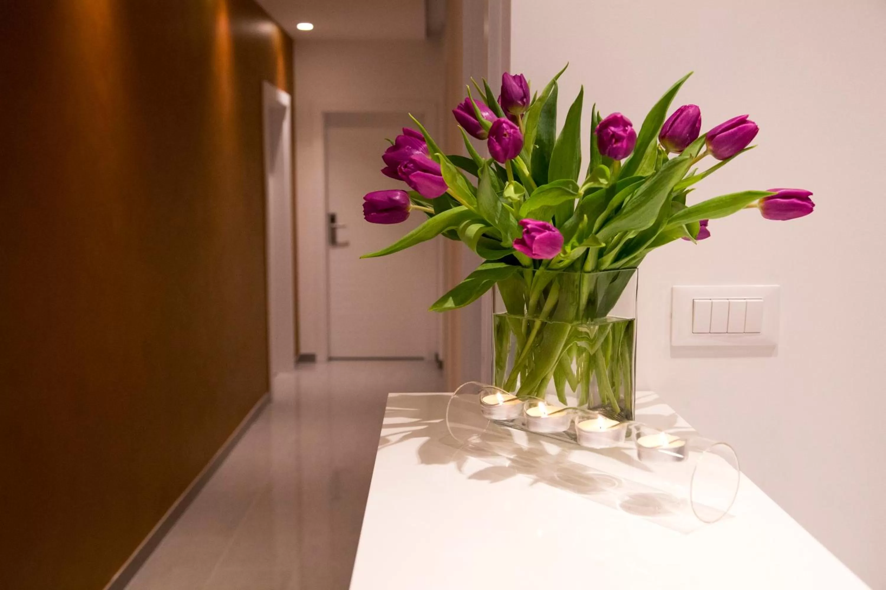 Lobby or reception in Luxury rooms Skystar-Split