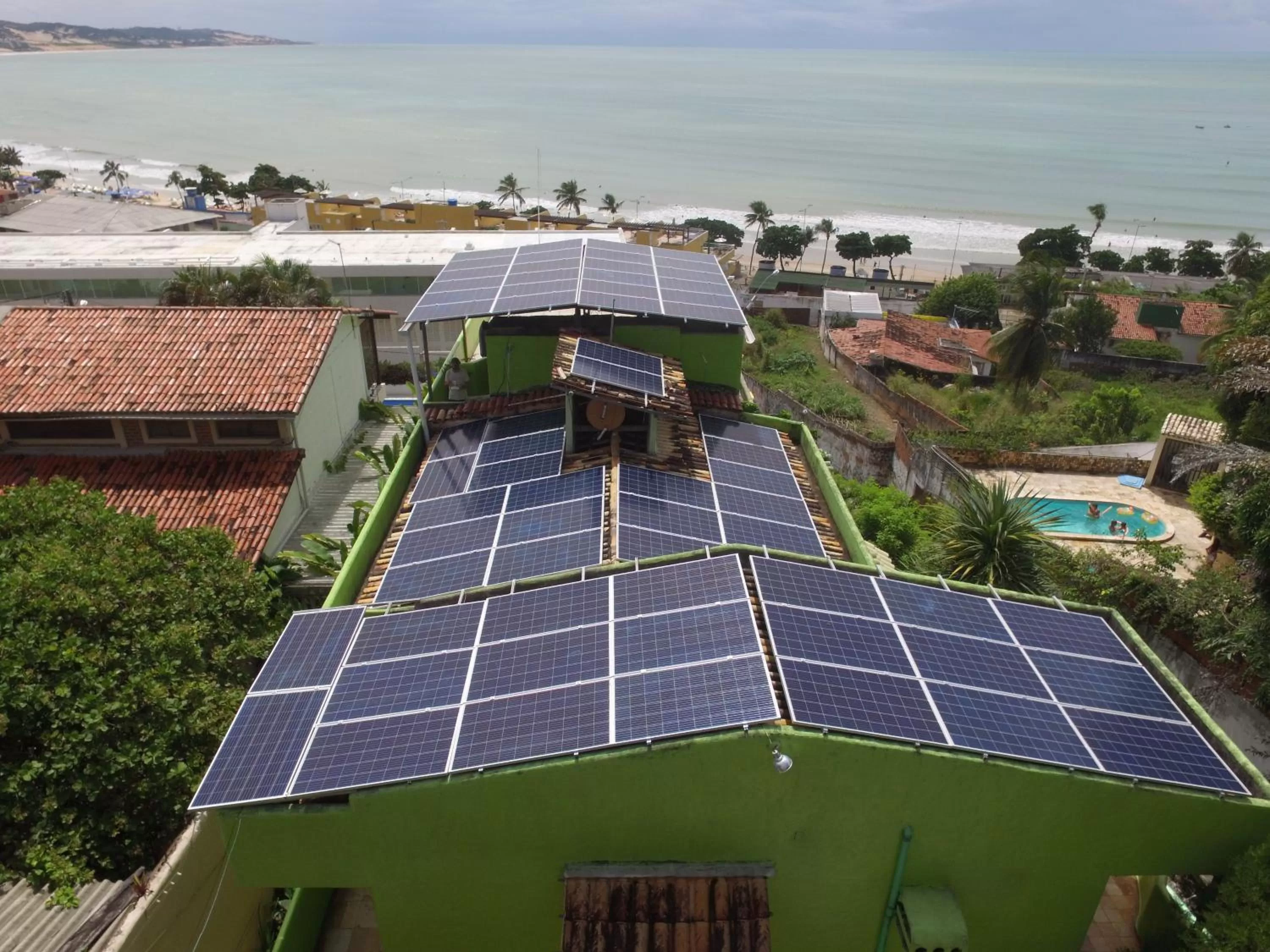 Bird's eye view, Bird's-eye View in Bamboo Flat