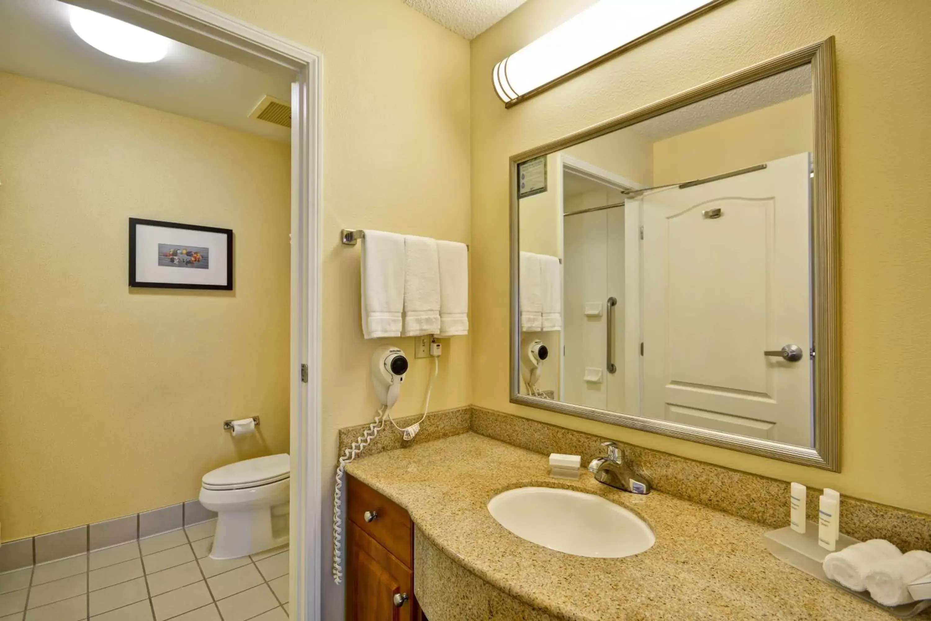 Bathroom in Homewood Suites by Hilton Newark-Wilmington South Area