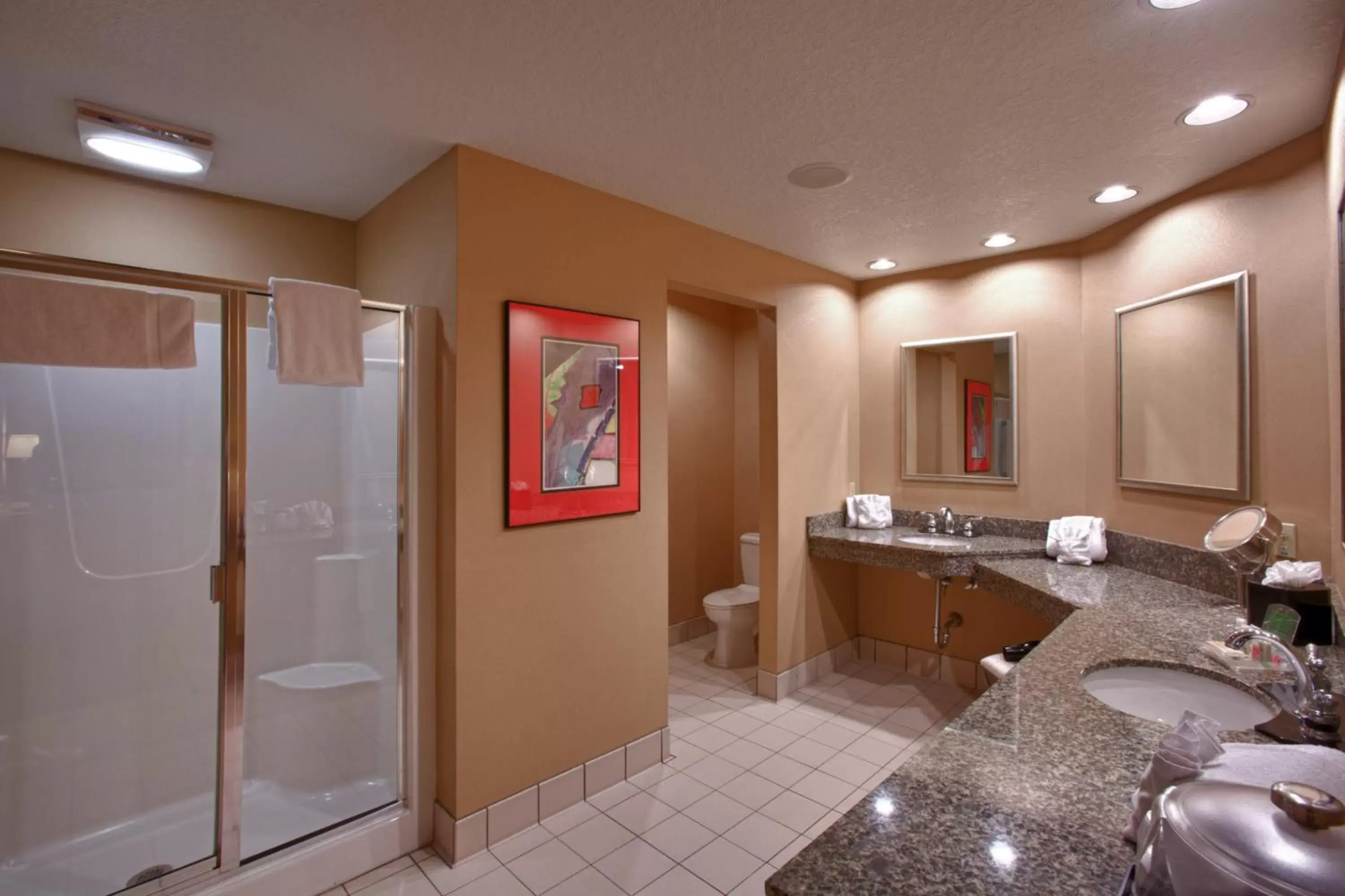 Photo of the whole room, Bathroom in Holiday Inn St. Paul Northeast - Lake Elmo, an IHG Hotel