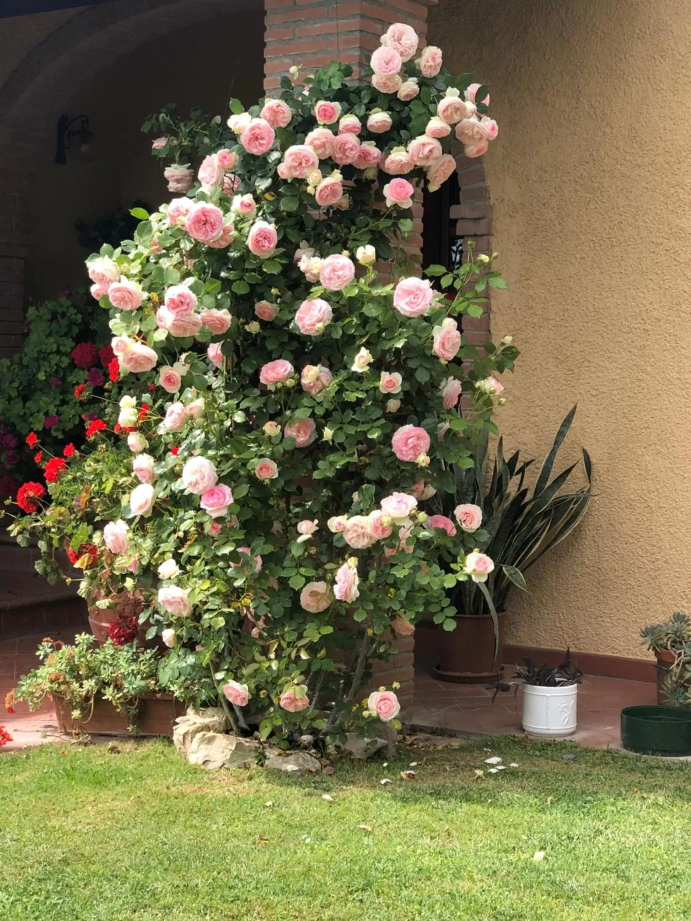 Garden in Villaspino