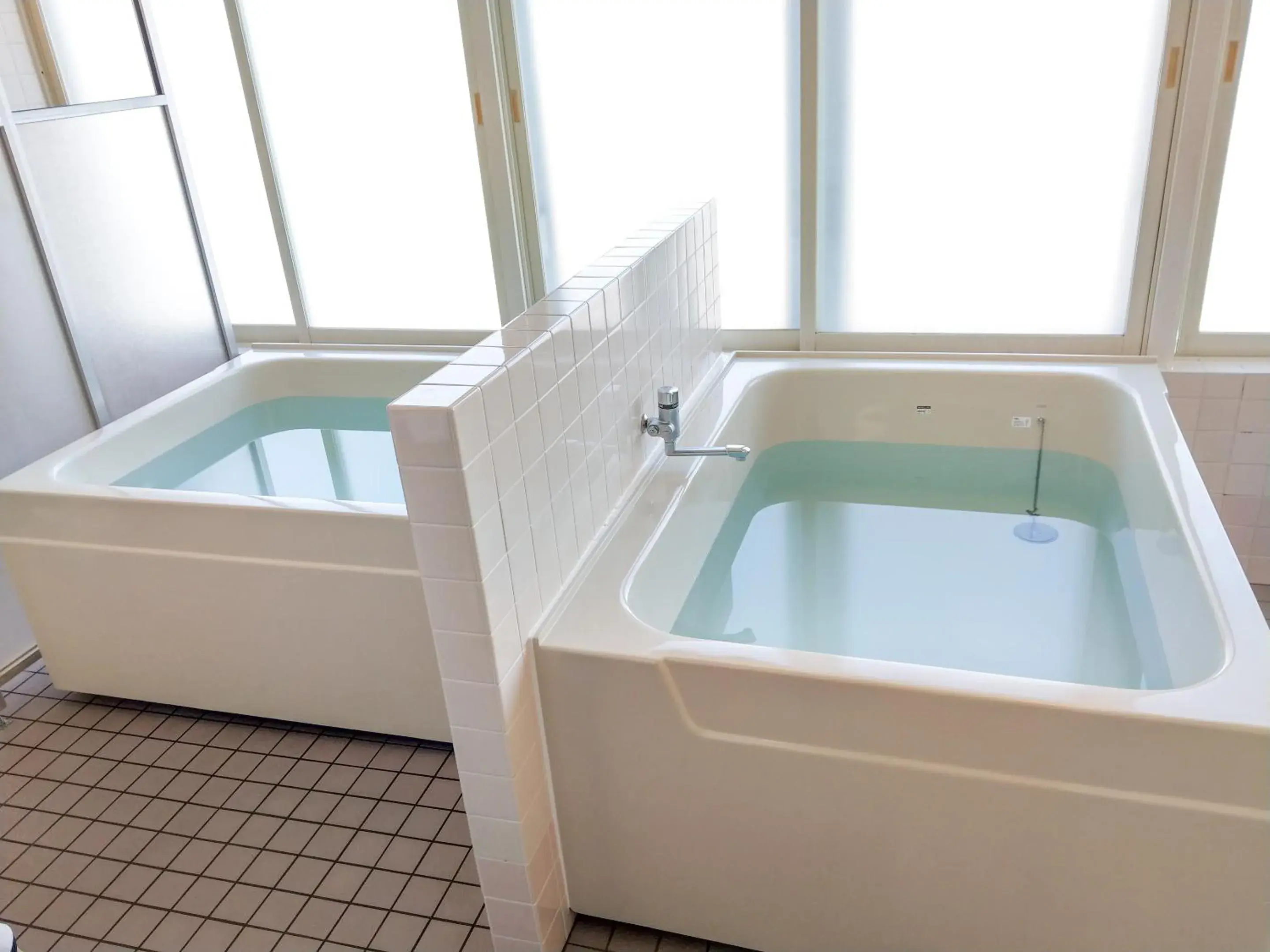 Sauna in HOTEL LiVEMAX BUDGET Chitose