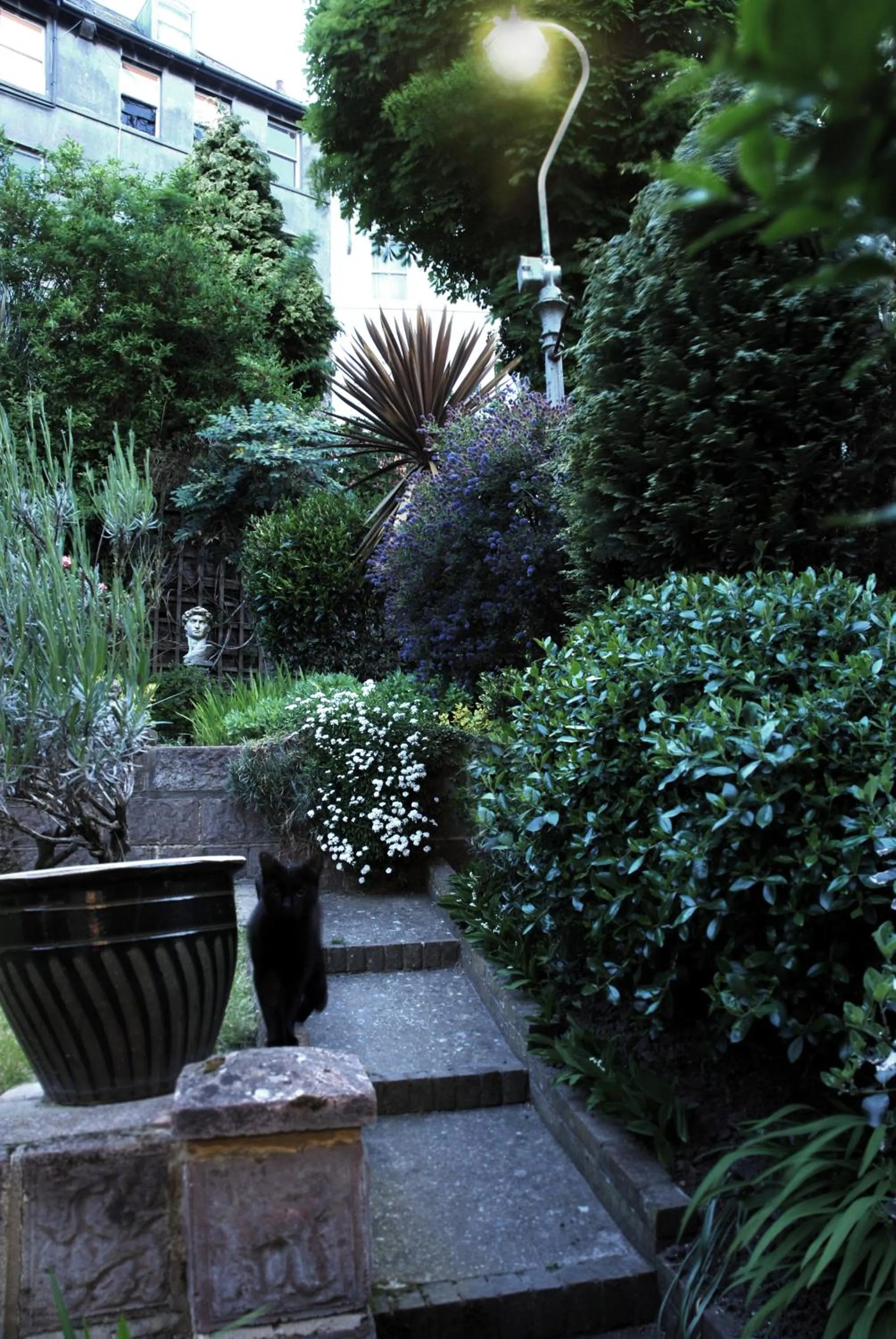 Patio in Senlac Guesthouse