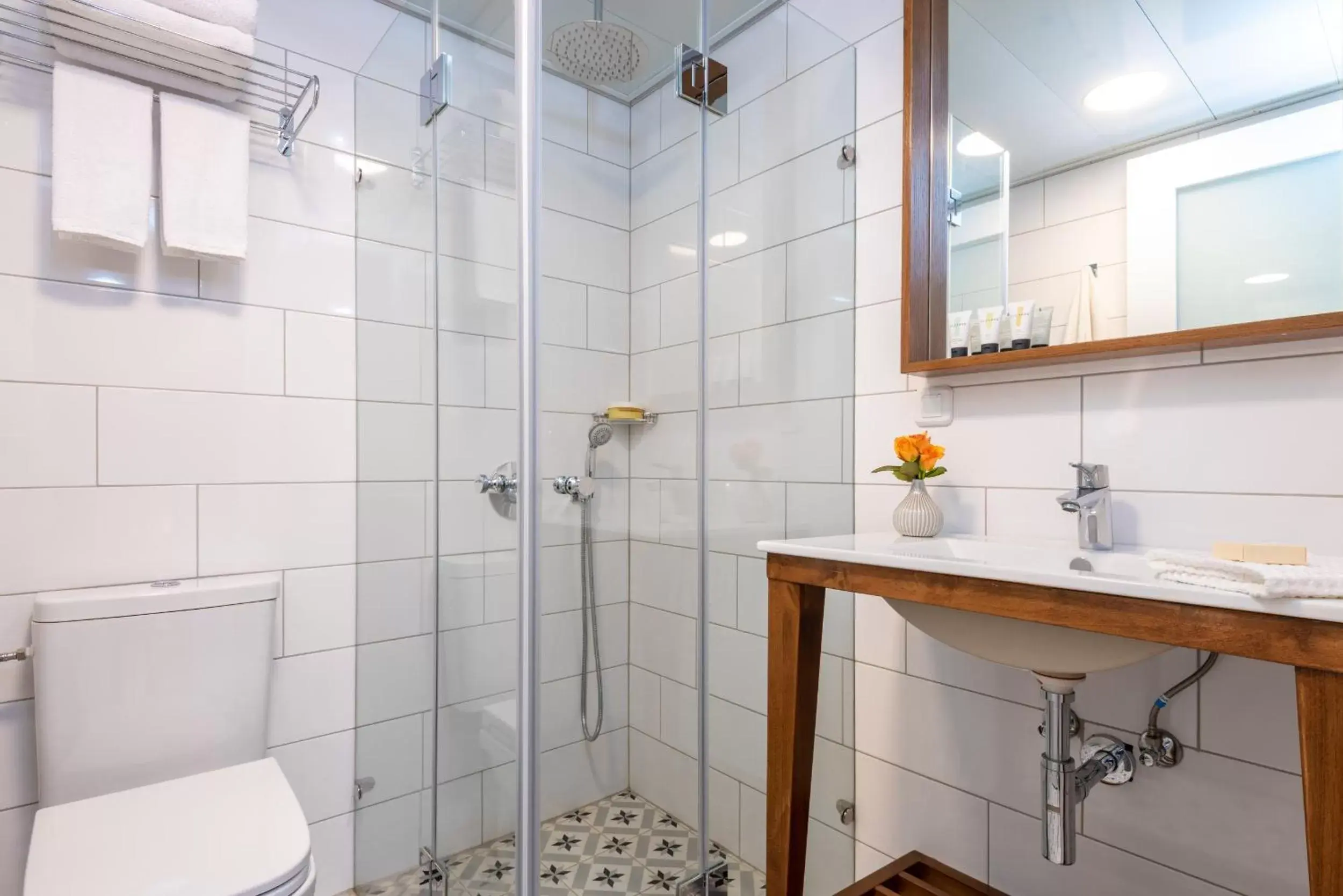 Shower, Bathroom in Embassy Hotel Tel Aviv