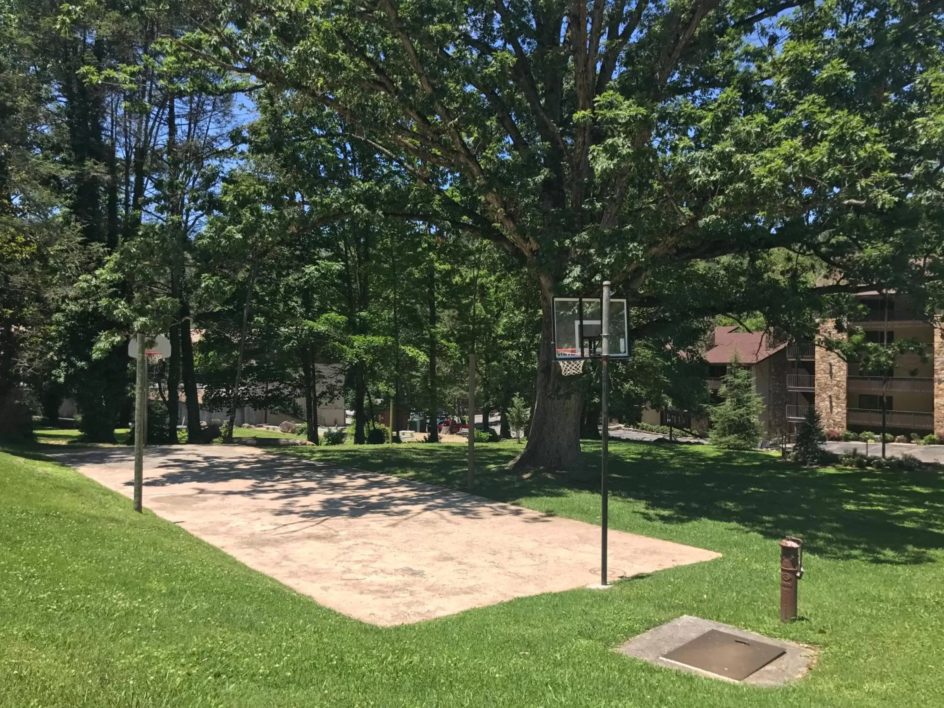 Activities, Garden in Brookside Lodge