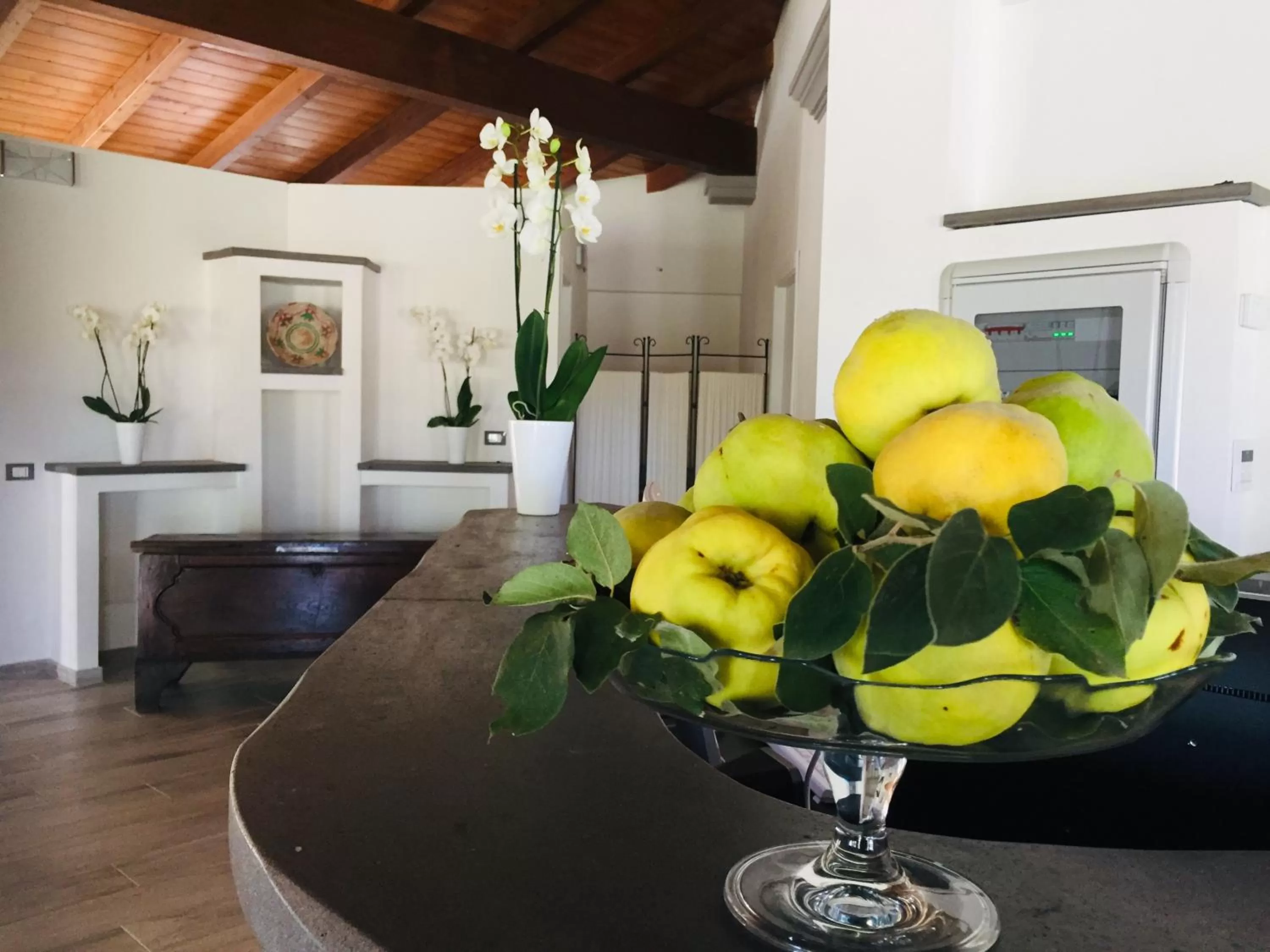 Lobby or reception in Regia Hotel