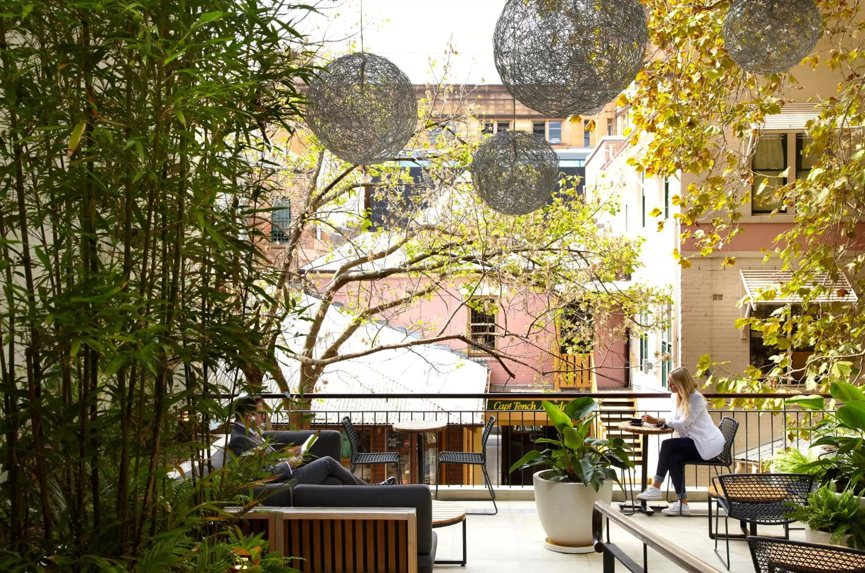 Garden in Harbour Rocks Hotel Sydney