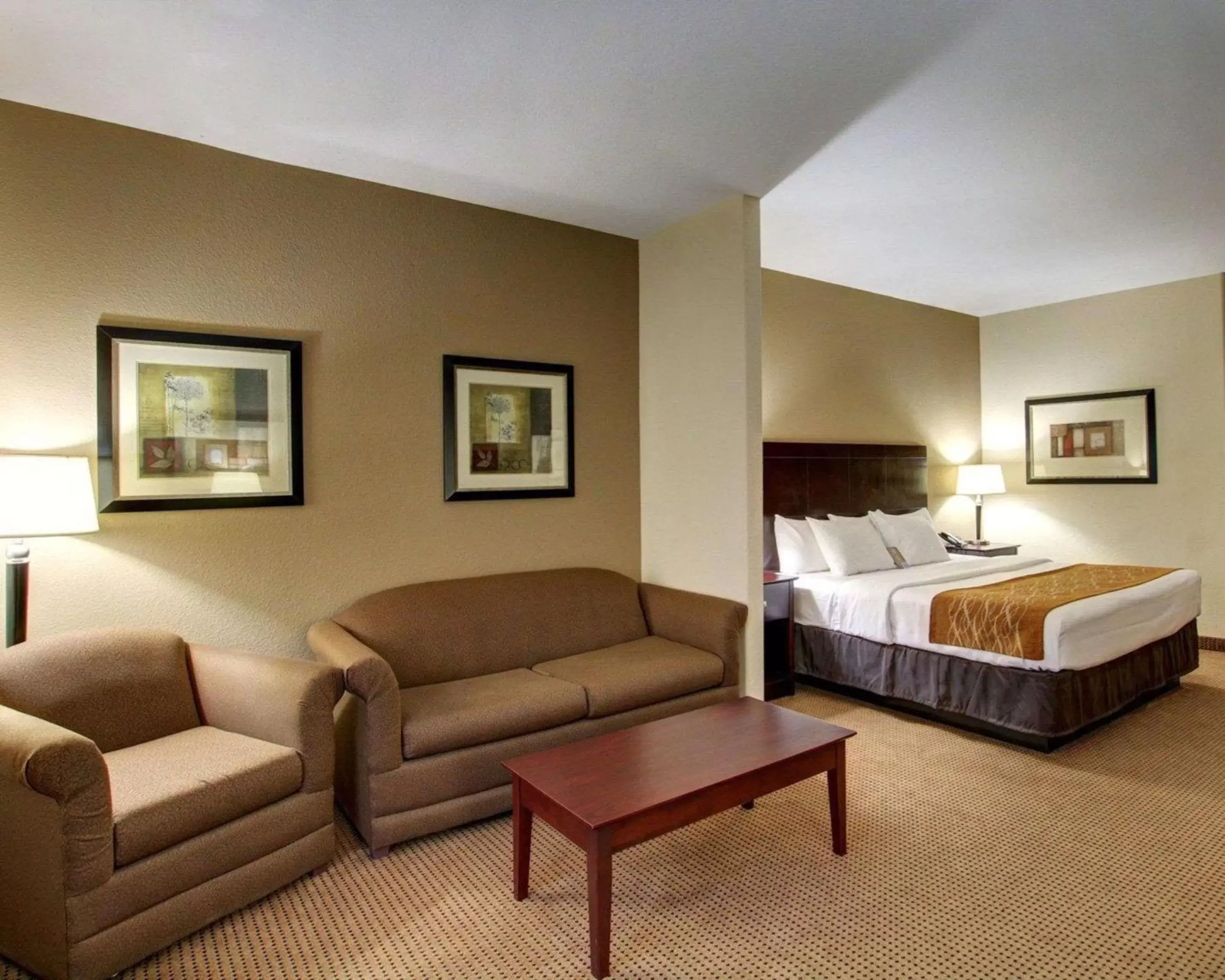 Photo of the whole room in Comfort Inn & Suites Alvarado