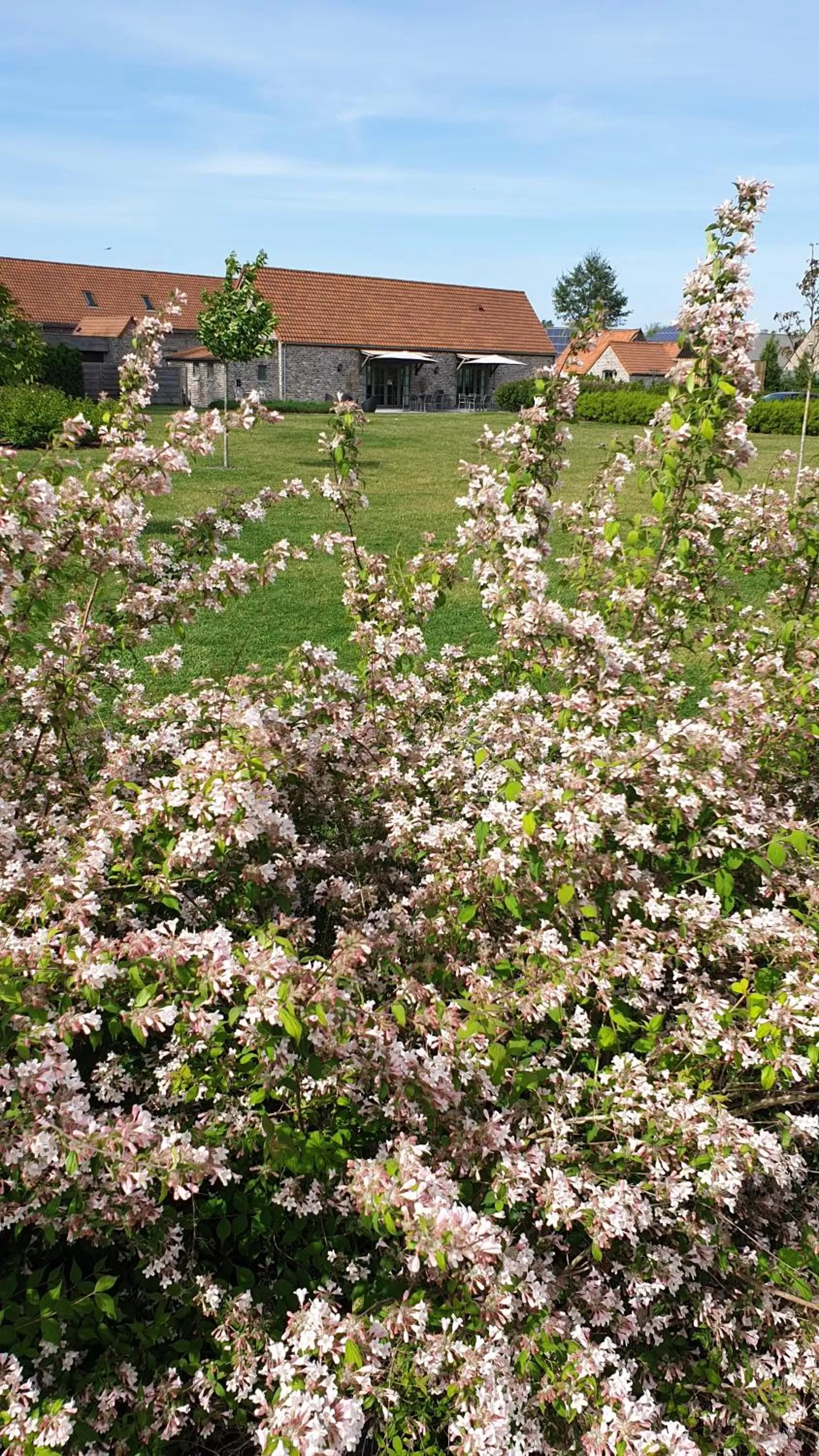 Garden in B&B 't Meesterhof