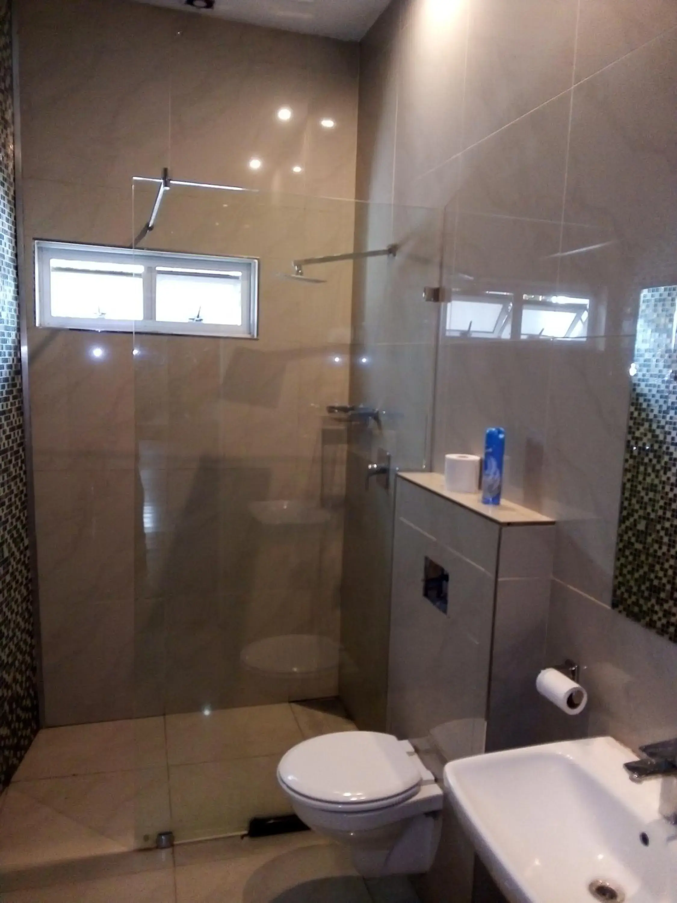 Shower, Bathroom in Big Blue Backpackers