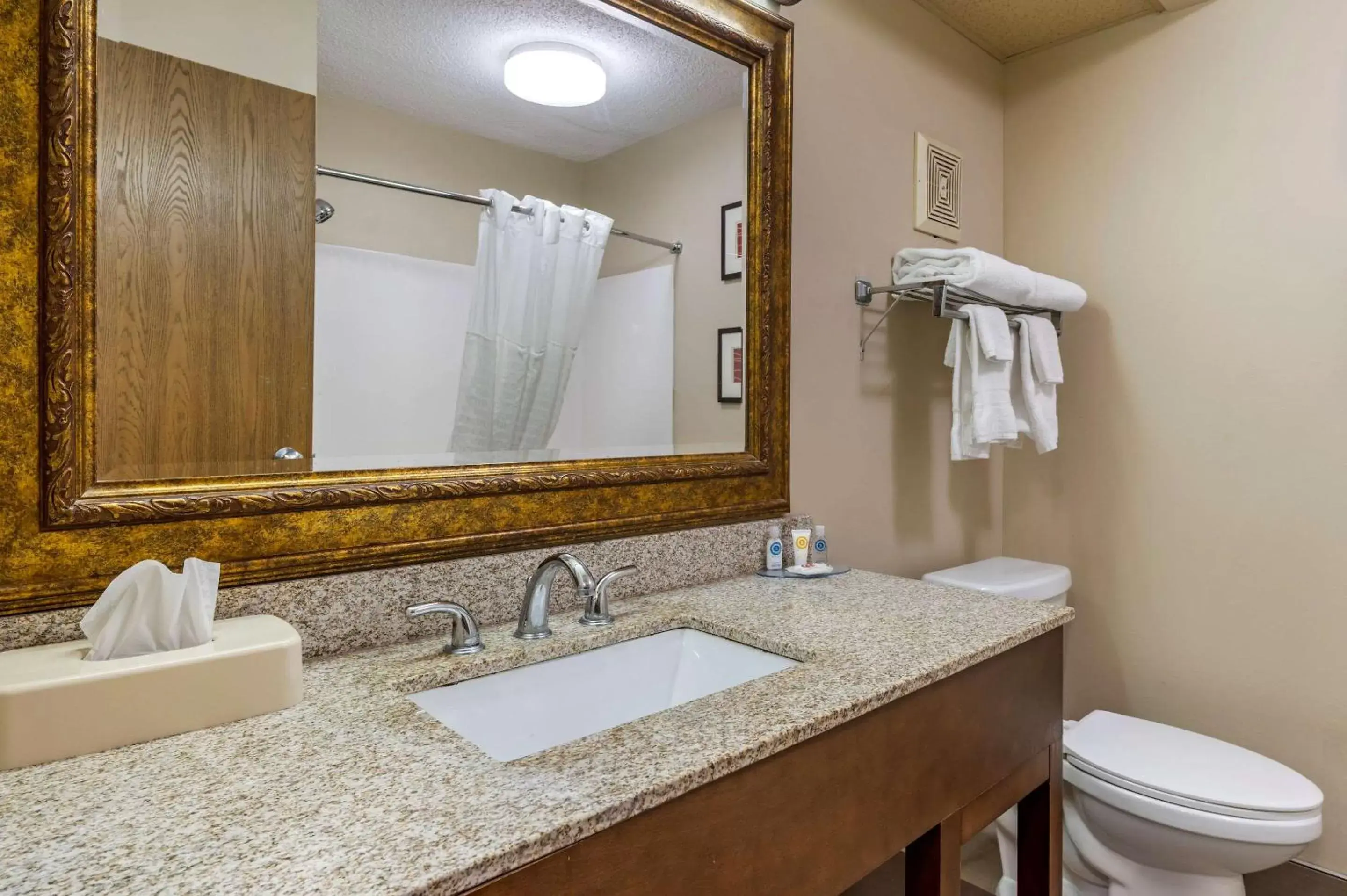 Photo of the whole room, Bathroom in Comfort Inn Lexington Southeast