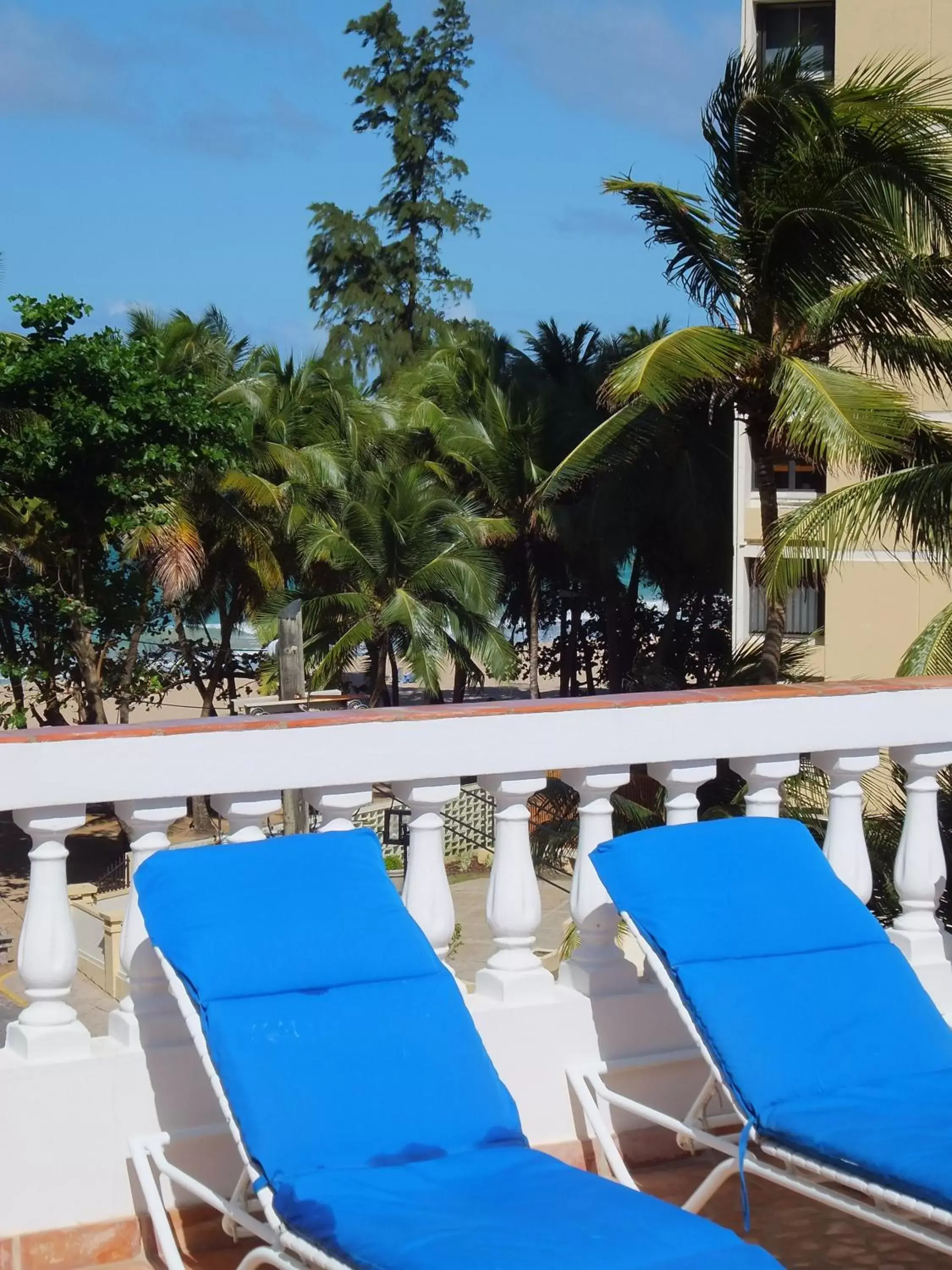 Balcony/Terrace in Acacia Boutique Hotel