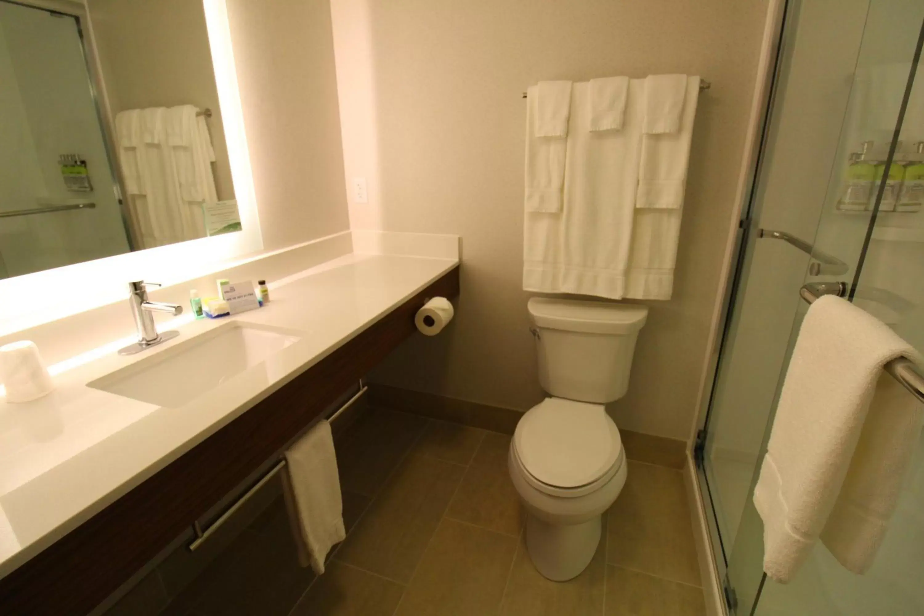 Bathroom in Holiday Inn Express Murrysville - Delmont, an IHG Hotel