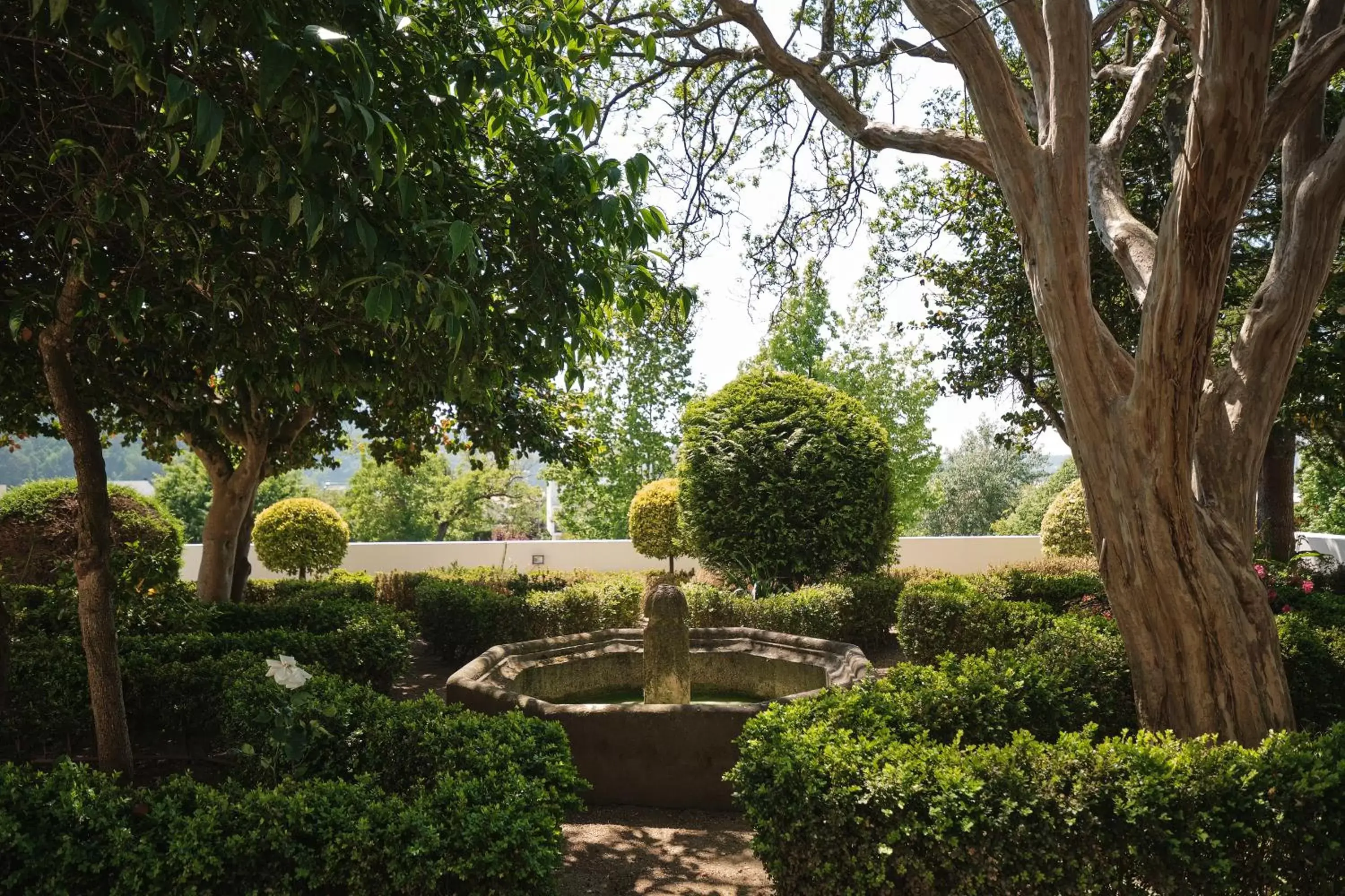 Natural landscape, Garden in Octant Lousa